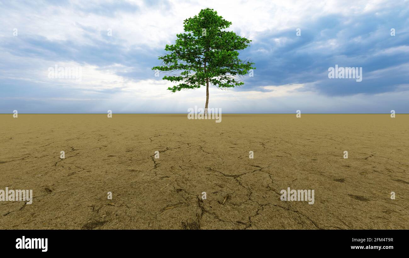 Concept ou paysage conceptuel du désert avec un arbre vert comme métaphore du réchauffement planétaire et du changement climatique. Banque D'Images