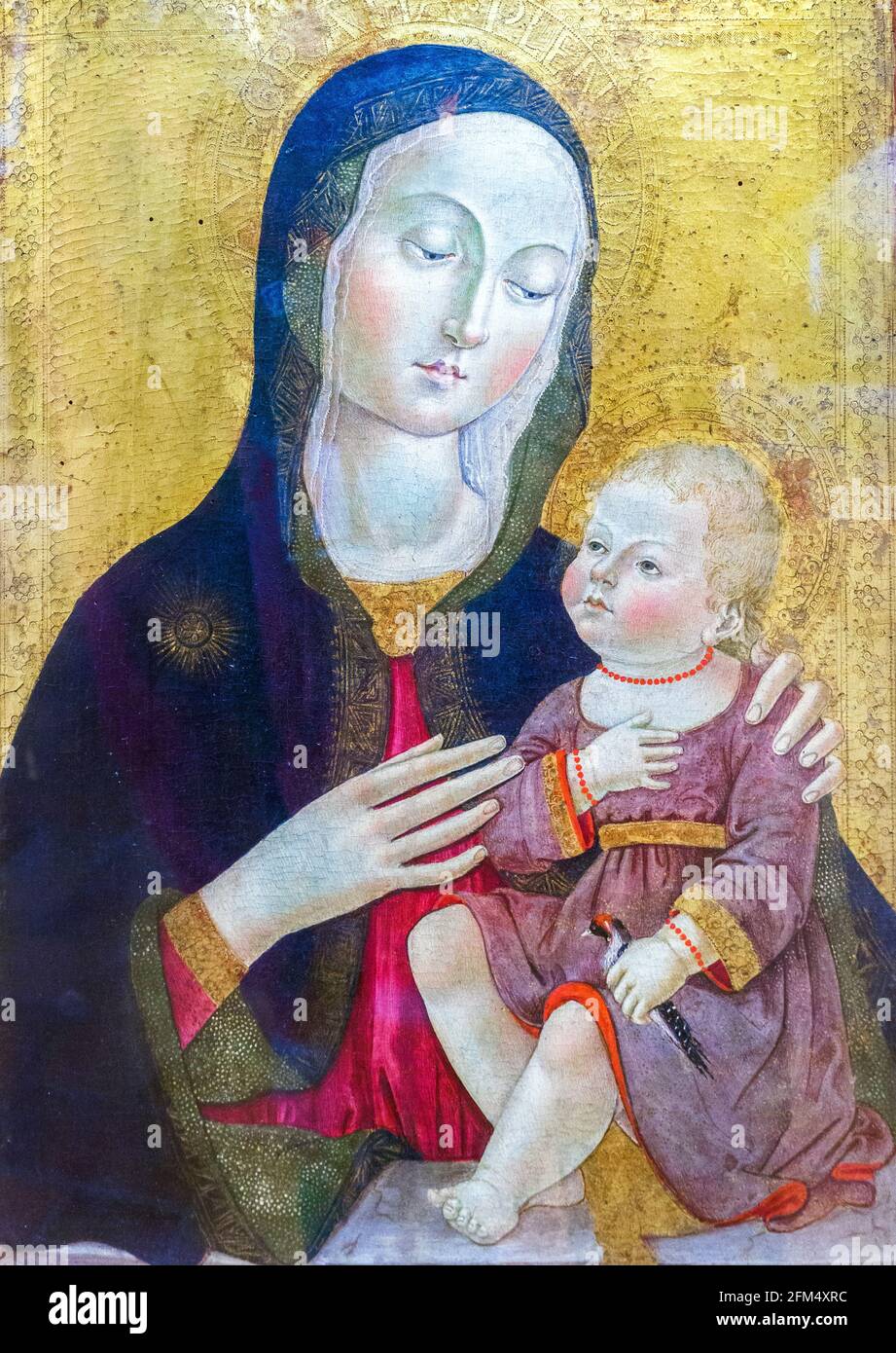 Madonna con Bambino de Benvenuto di Giovanni XV dc peinture de feuille d'or avec des symboles typiques de l'art italien du XVe siècle, tels que l'étoile sur l'épaule droite de Marie, signifiant virginité, ou le petit oiseau, un orfard, gardé par le bébé, symbole de la passion du Christ Banque D'Images