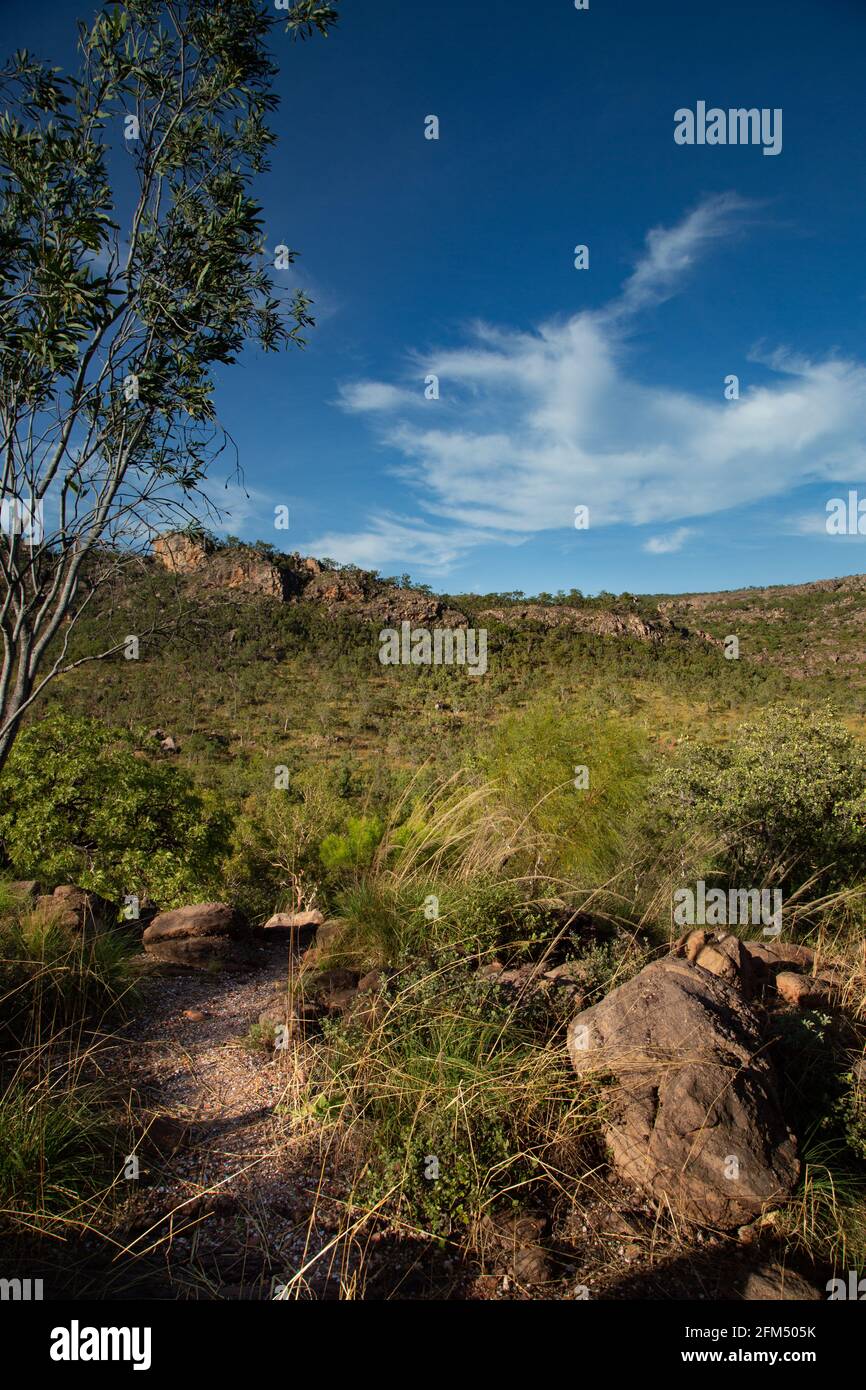 Paysage du Bush australien dans le parc national de Kakadu, territoire du Nord, Australie Banque D'Images
