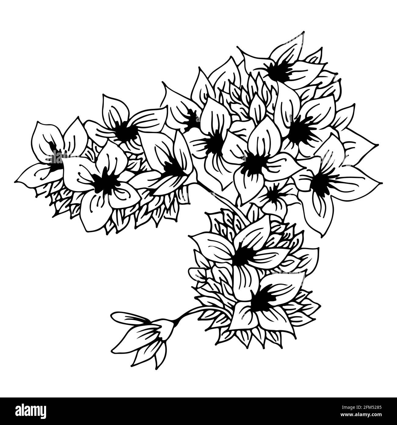 Composition des fleurs, illustration florale vectorielle isolée sur fond blanc Illustration de Vecteur