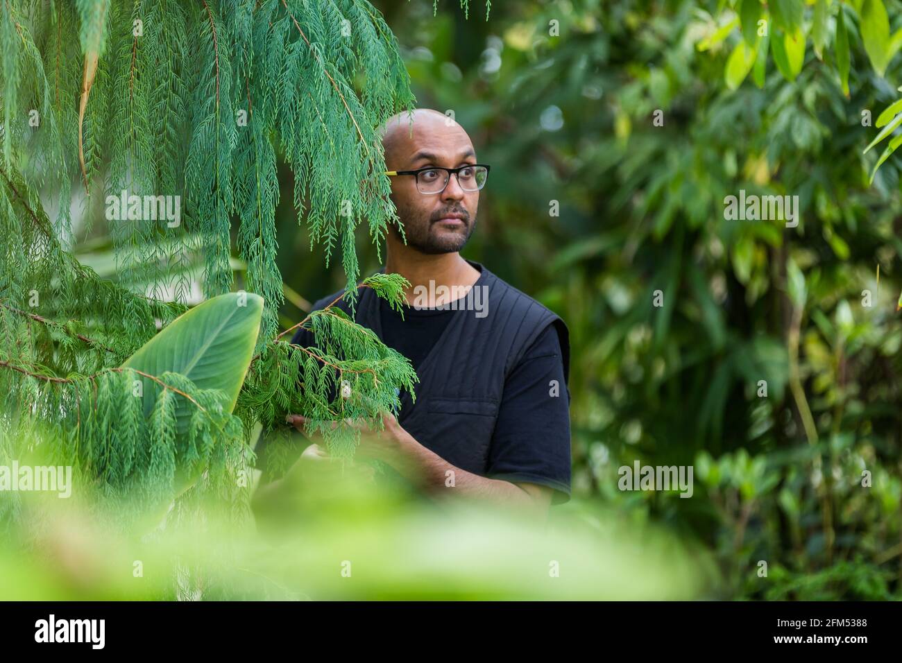 Kew Gardens, Richmond, Royaume-Uni. 6 mai 2021.Eté à Kew: Le monde secret des plantes. Jason Singh, musicien de botanique et beatboxer, a utilisé la technologie de biodonnées pour enregistrer les signaux électriques des plantes, les transformant en belles chansons de survie dans l'emblématique Temperate House. Crédit: amanda rose/Alamy Live News Banque D'Images