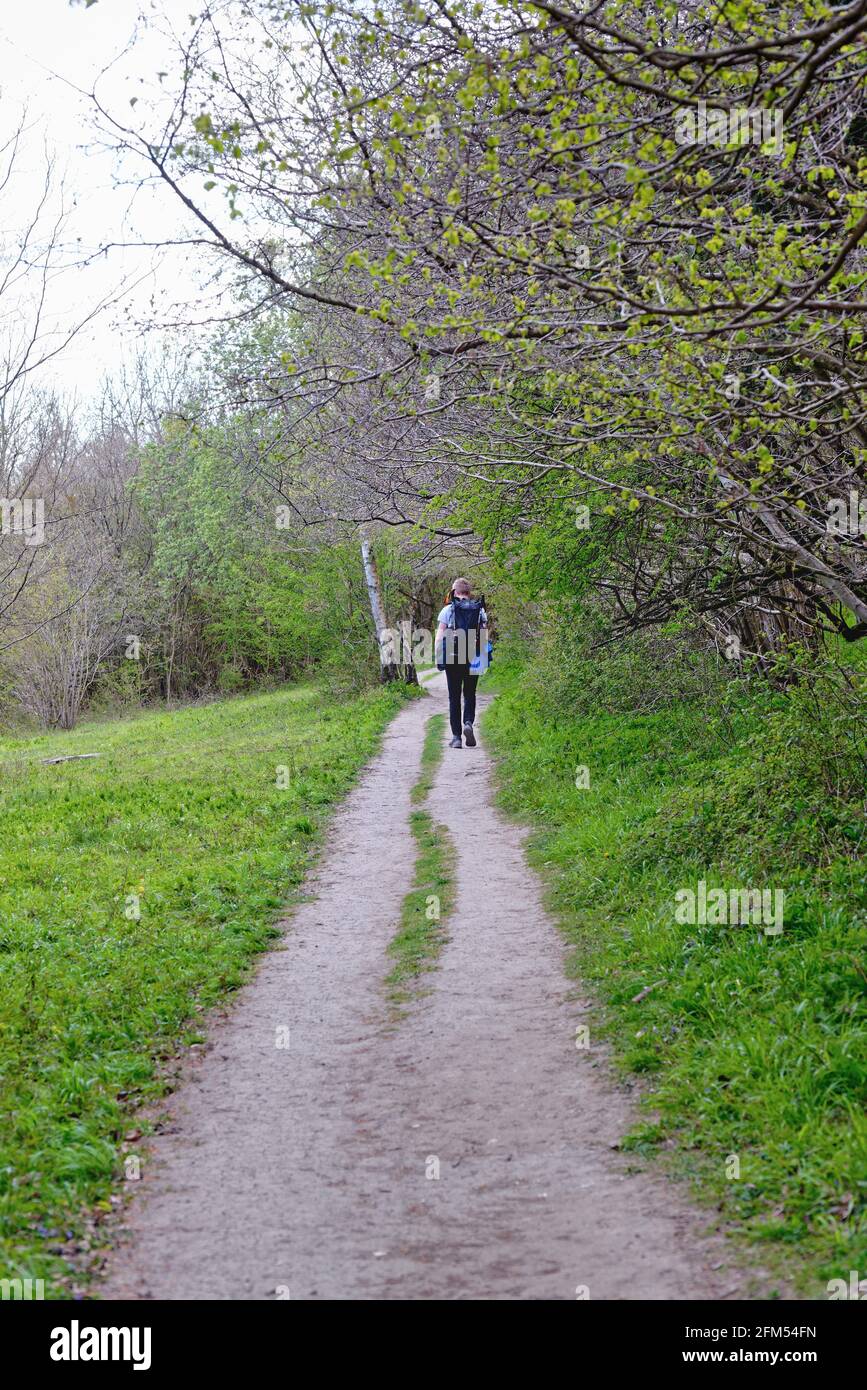 Un jeune lad marchant sur le sentier North Downs Way À White Downs, un jour de printemps dans le Surrey Collines près de Dorking Angleterre Royaume-Uni Banque D'Images