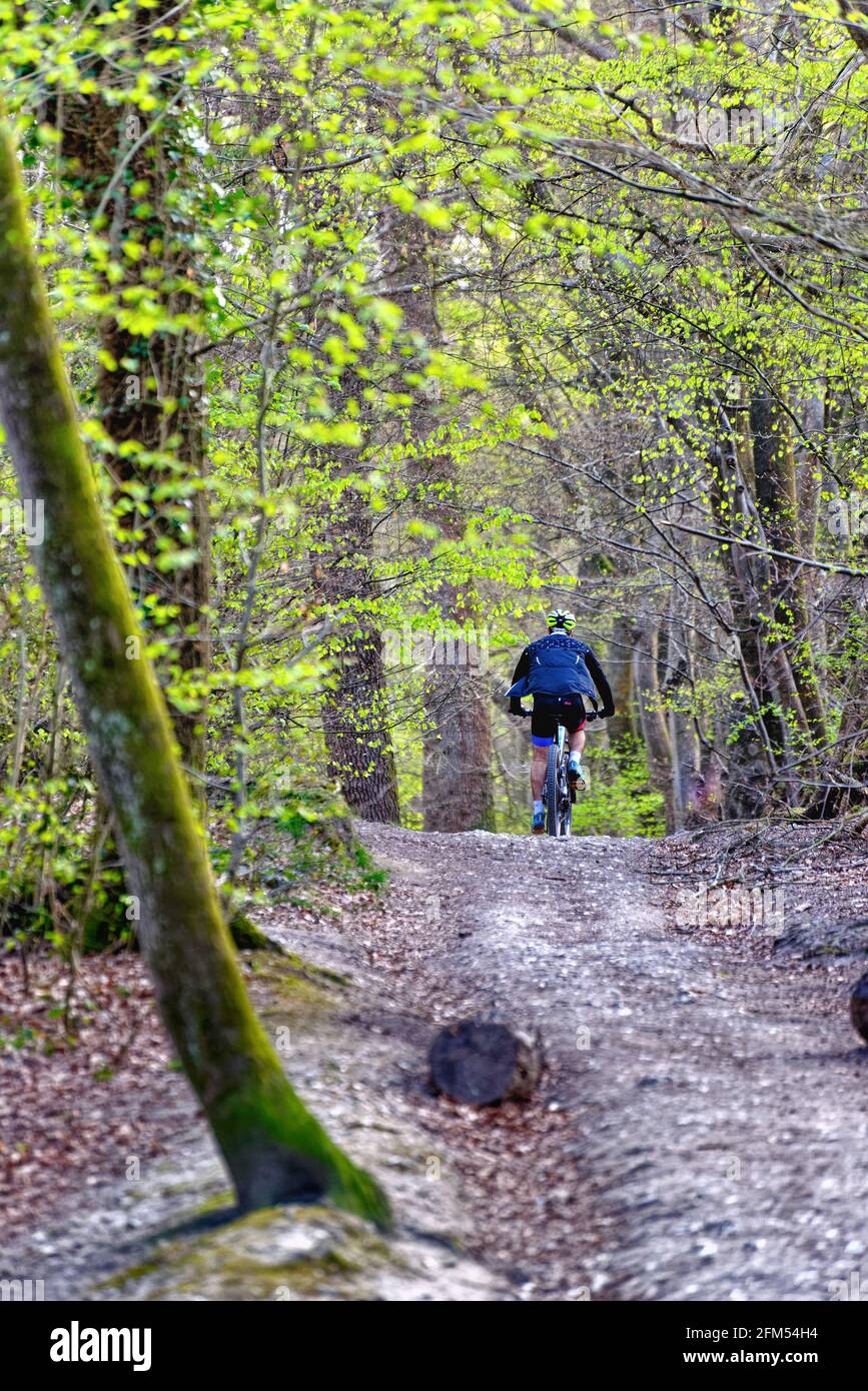 Un cycliste masculin sur la piste boisée des North Downs lors d'une journée de printemps dans les collines de Surrey, près de Dorking Angleterre au Royaume-Uni Banque D'Images