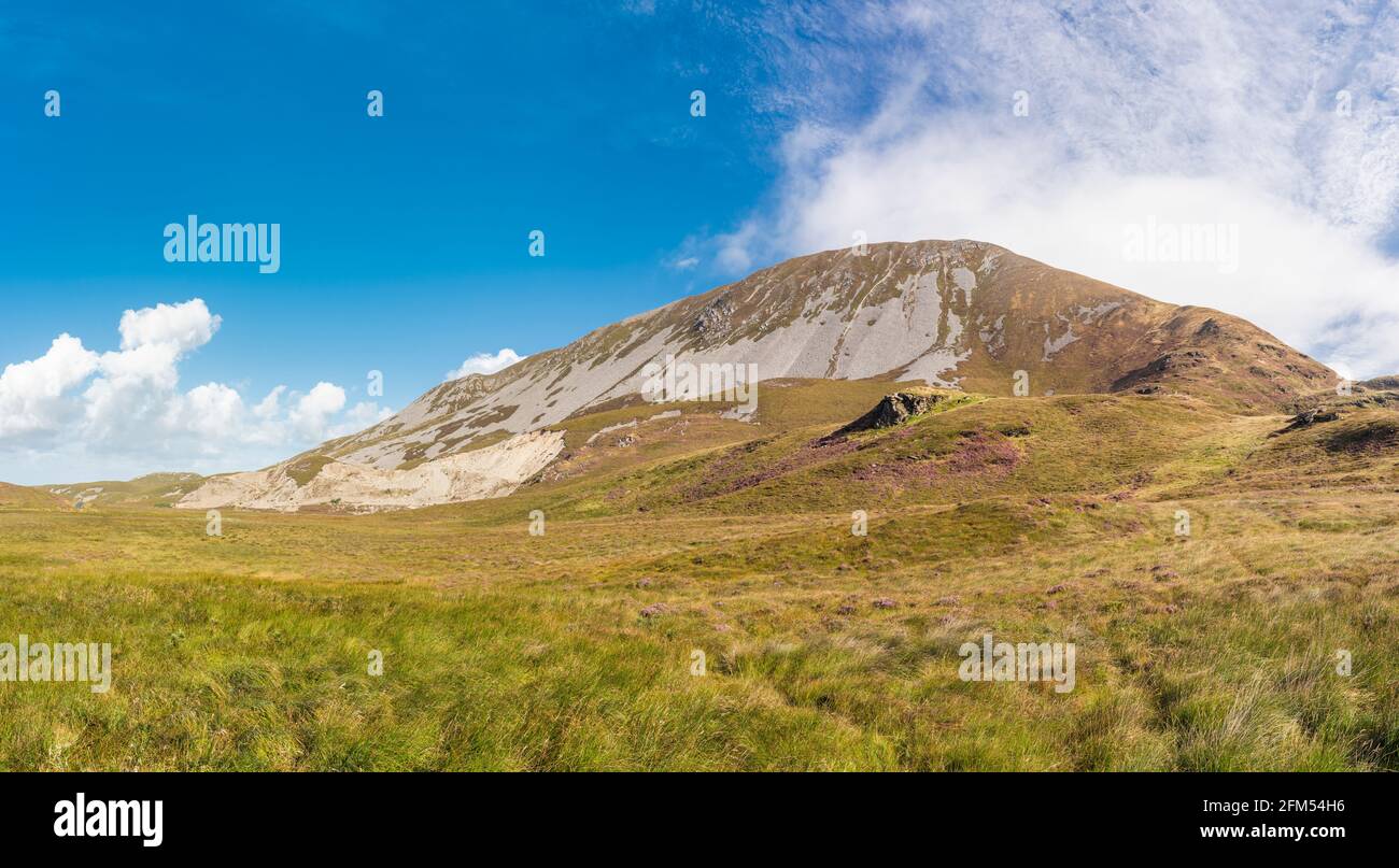 L'extrémité ouest de la montagne Muckish (an Mhucais), une partie de la chaîne de montagnes Derryveagh, Barnanageeha, comté de Donegal, Irlande Banque D'Images