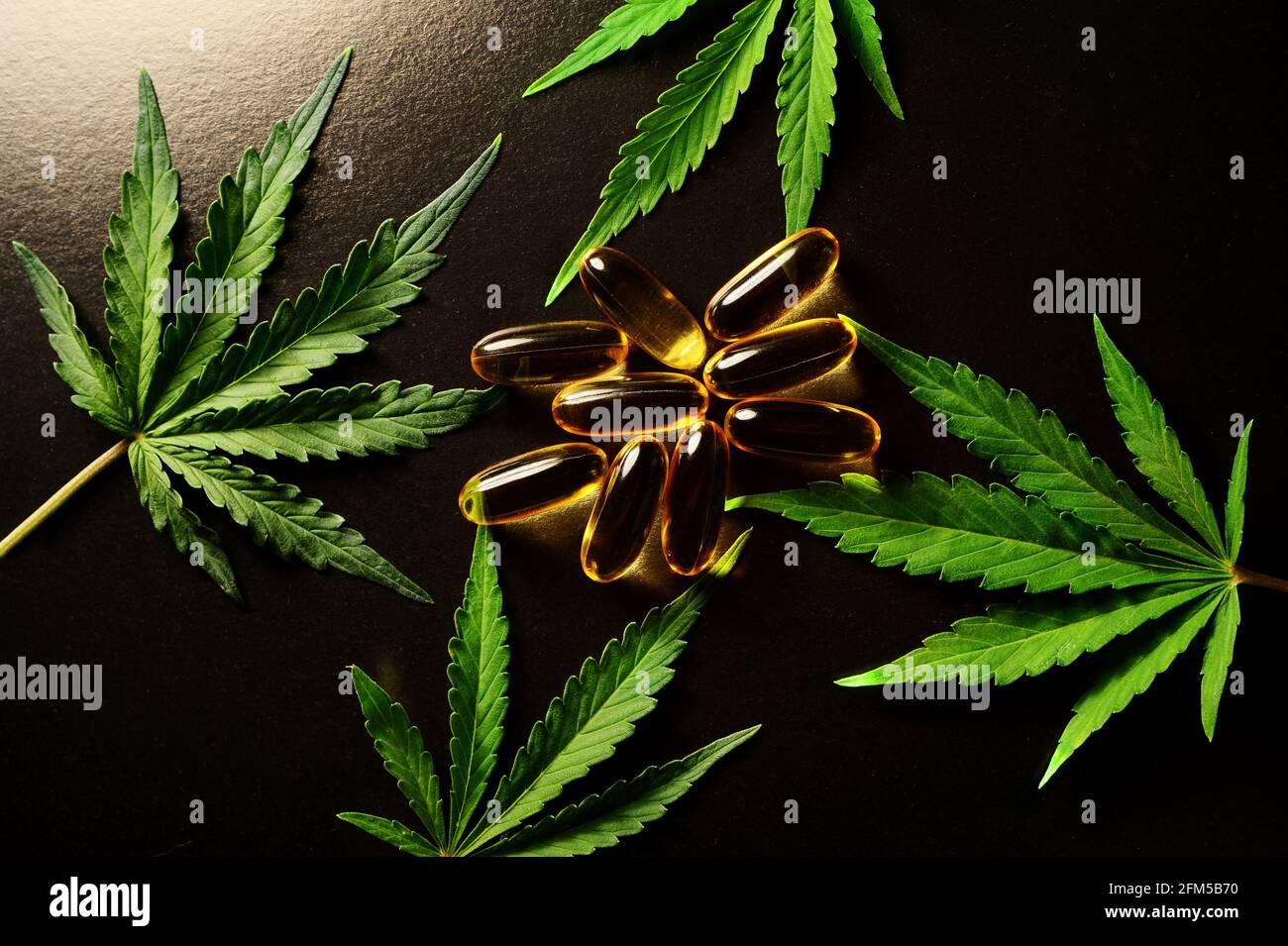 Le cannabis médicinal laisse avec de l'huile de marijuana dans des capsules sur fond noir. Banque D'Images