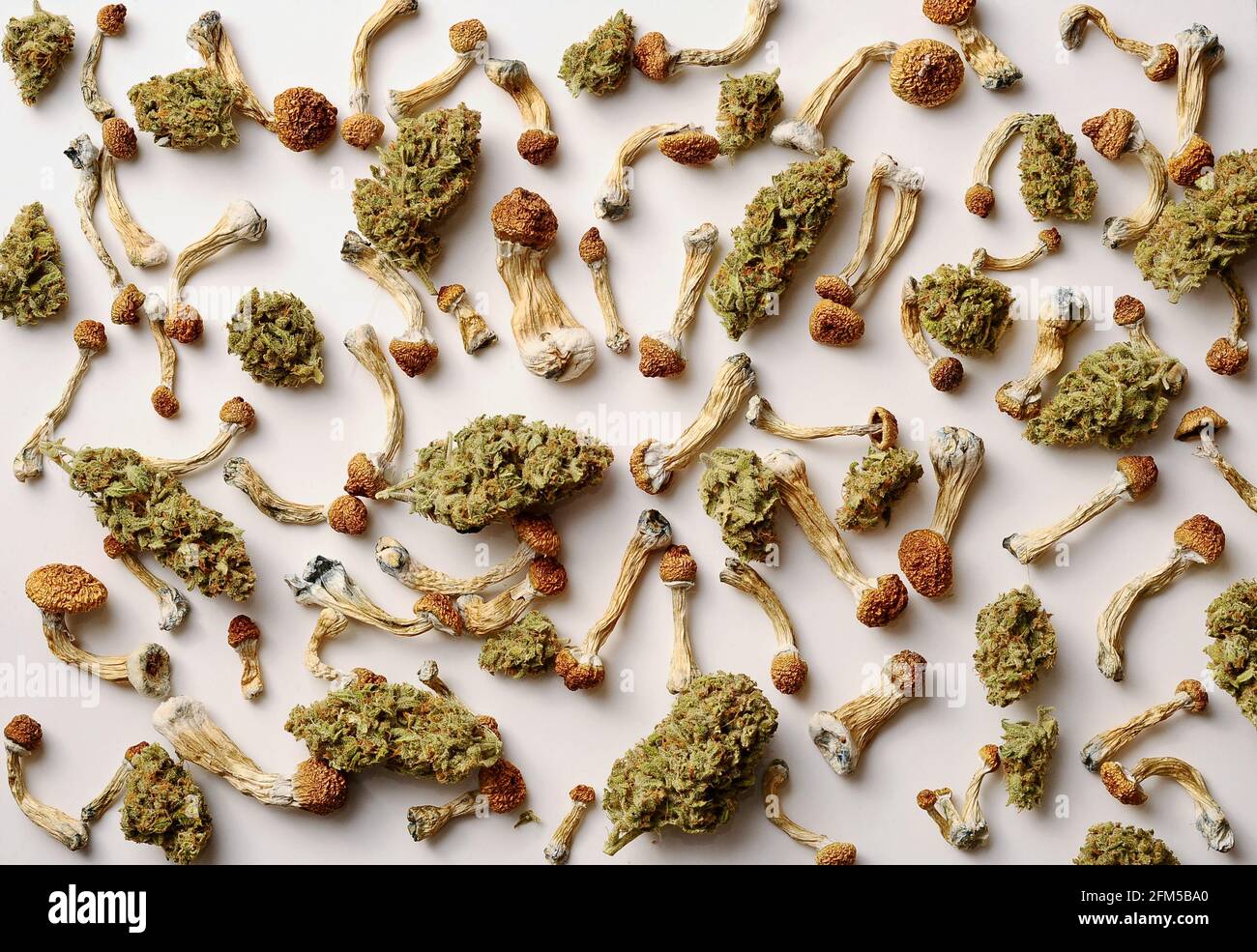Concept de microdosage. Sécher les champignons psilocybine et les bourgeons de marijuana sur fond blanc. Expérience psychédélique. Chanvre récréation, usage médical, legaliza Banque D'Images