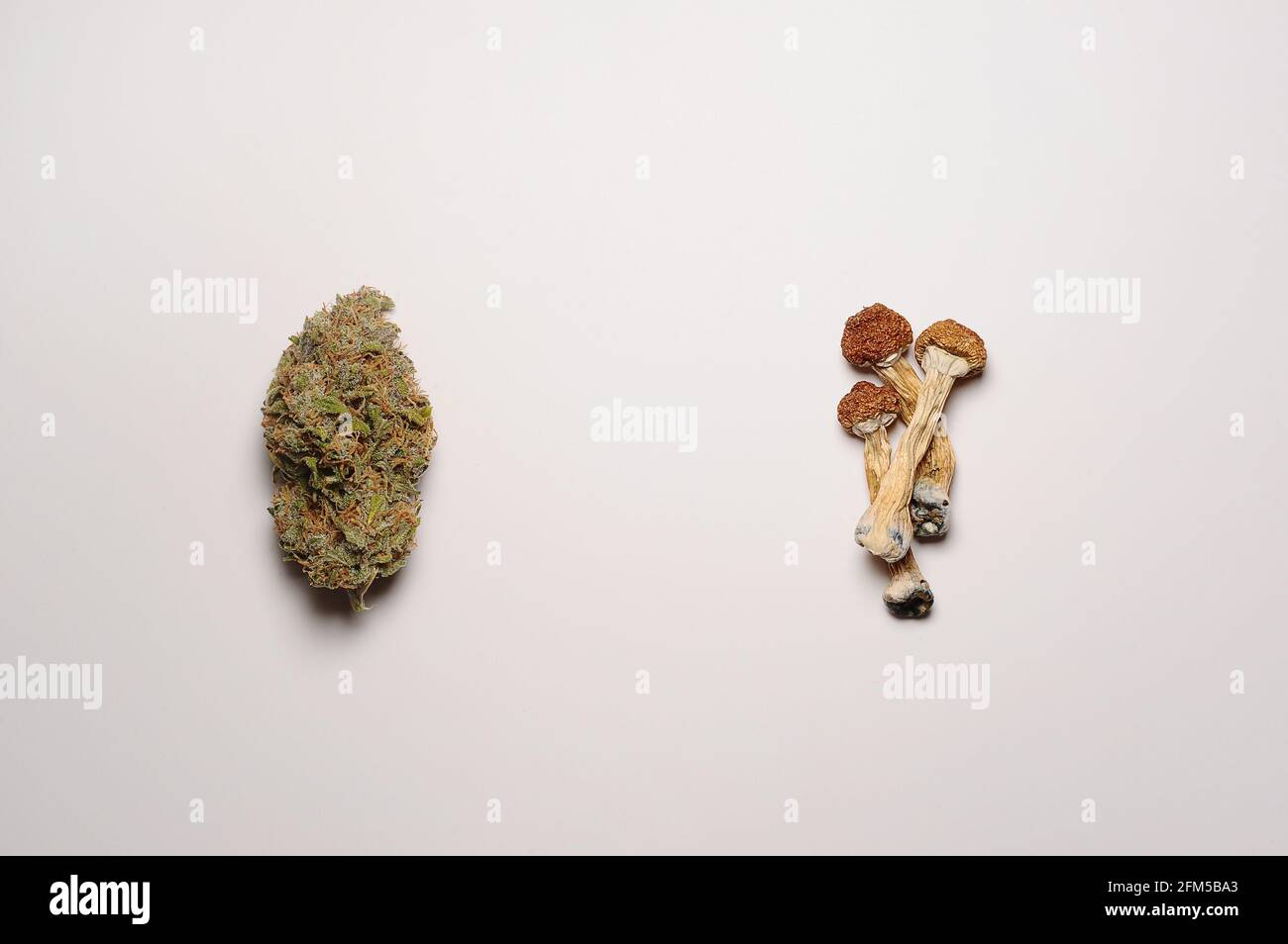 Concept de microdosage. Sécher les champignons psilocybine et les bourgeons de marijuana sur fond blanc. Expérience psychédélique. Chanvre récréation, usage médical, legaliza Banque D'Images