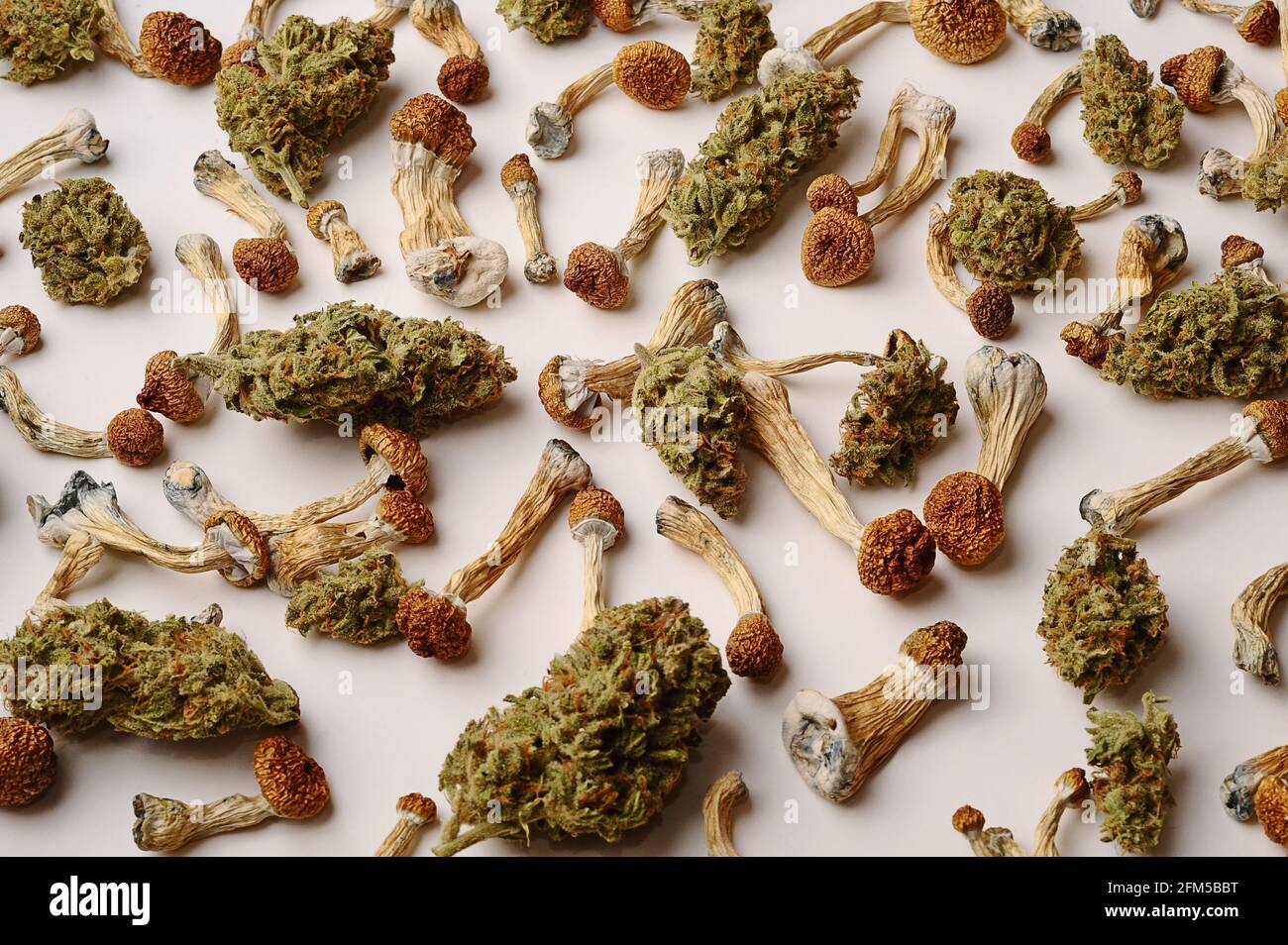 Concept de microdosage.champignons psilocybine secs et bourgeons de marijuana sur fond blanc. Expérience psychédélique. Chanvre récréation, usage médical, legalizat Banque D'Images