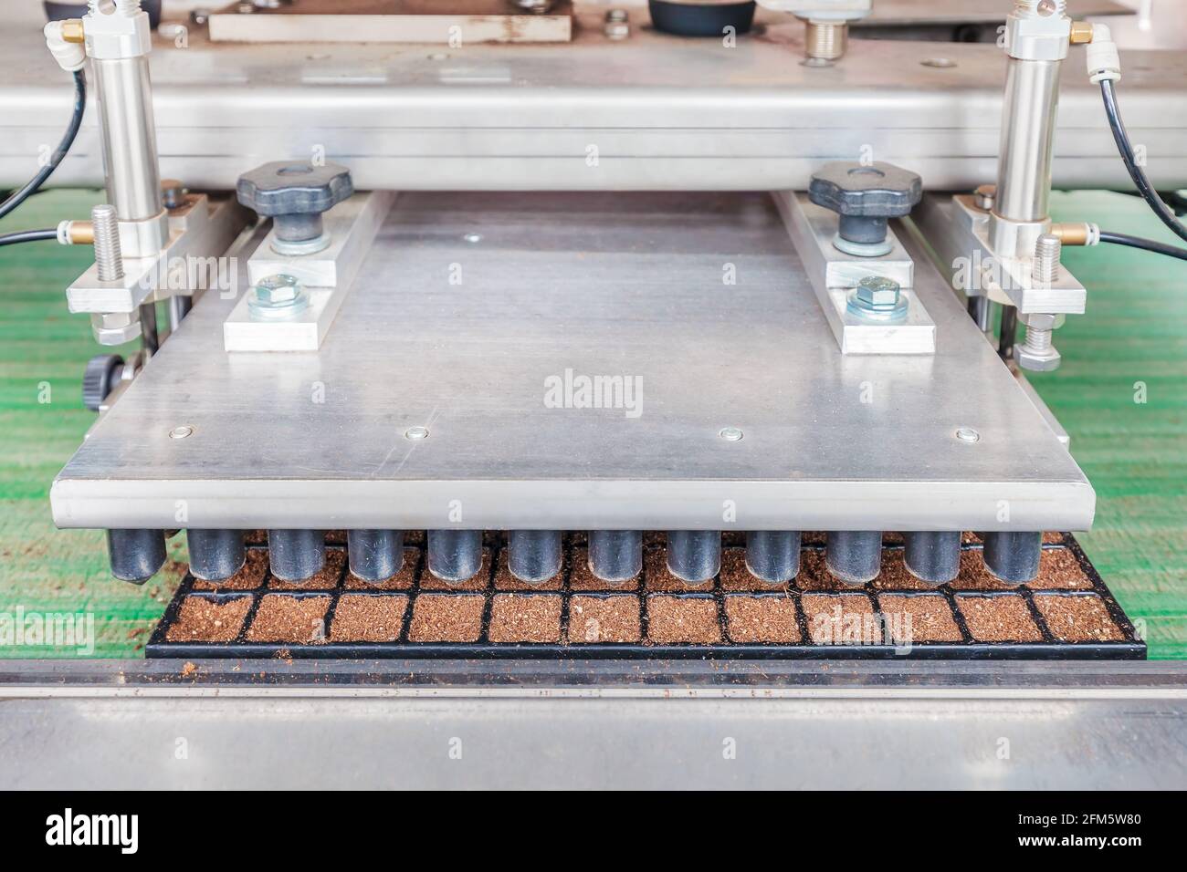 Système de tapis de convoyeur automatisé préparant les semis de l'usine à planter Dans une serre hollandaise Banque D'Images