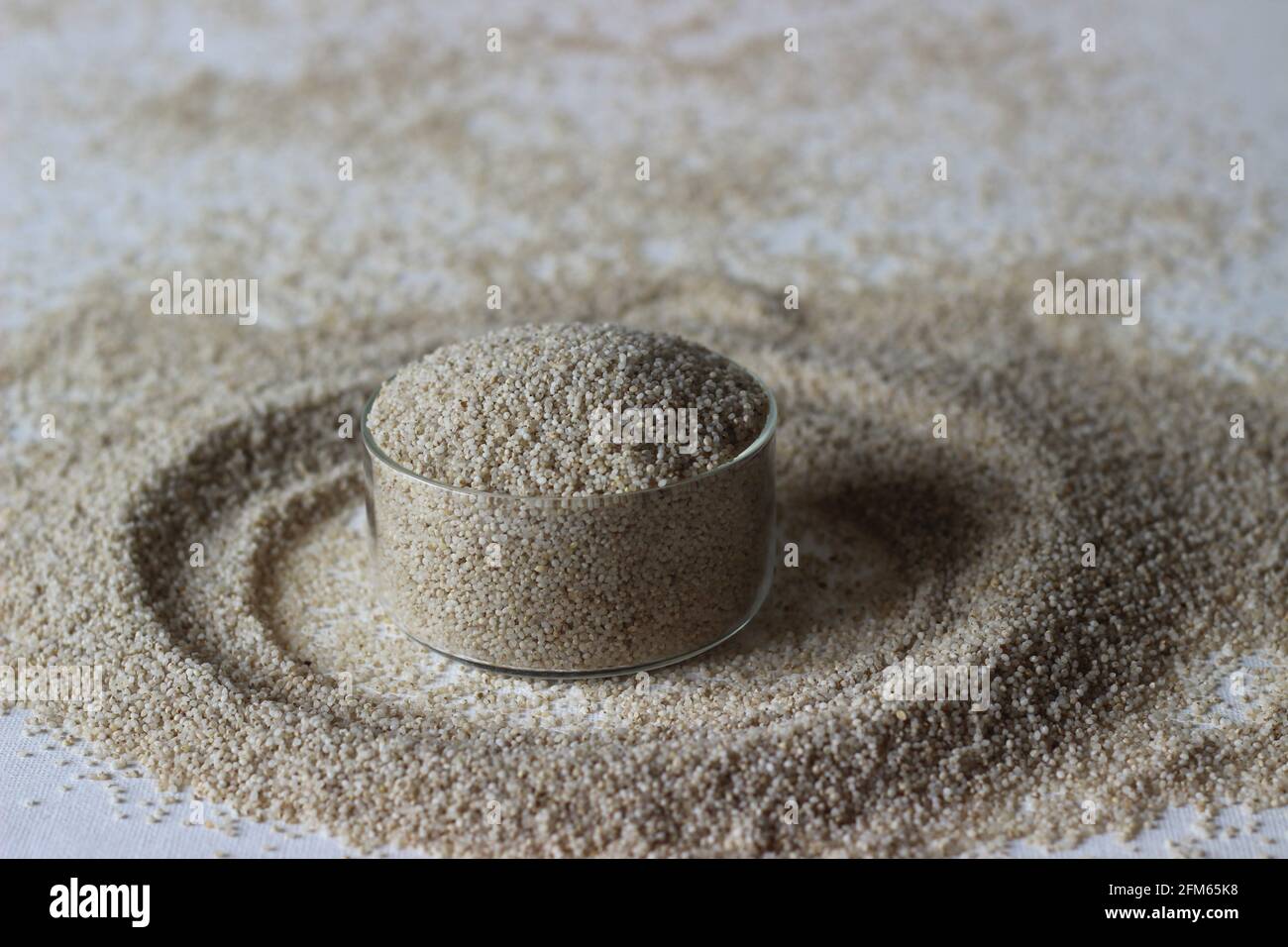 Le petit millet est l'un des petits millets, scientifiquement connu sous le nom de Panicum sumatrense. Il s'agit d'un aliment à faible indice glycémique. Bonne source de digestion lente Banque D'Images