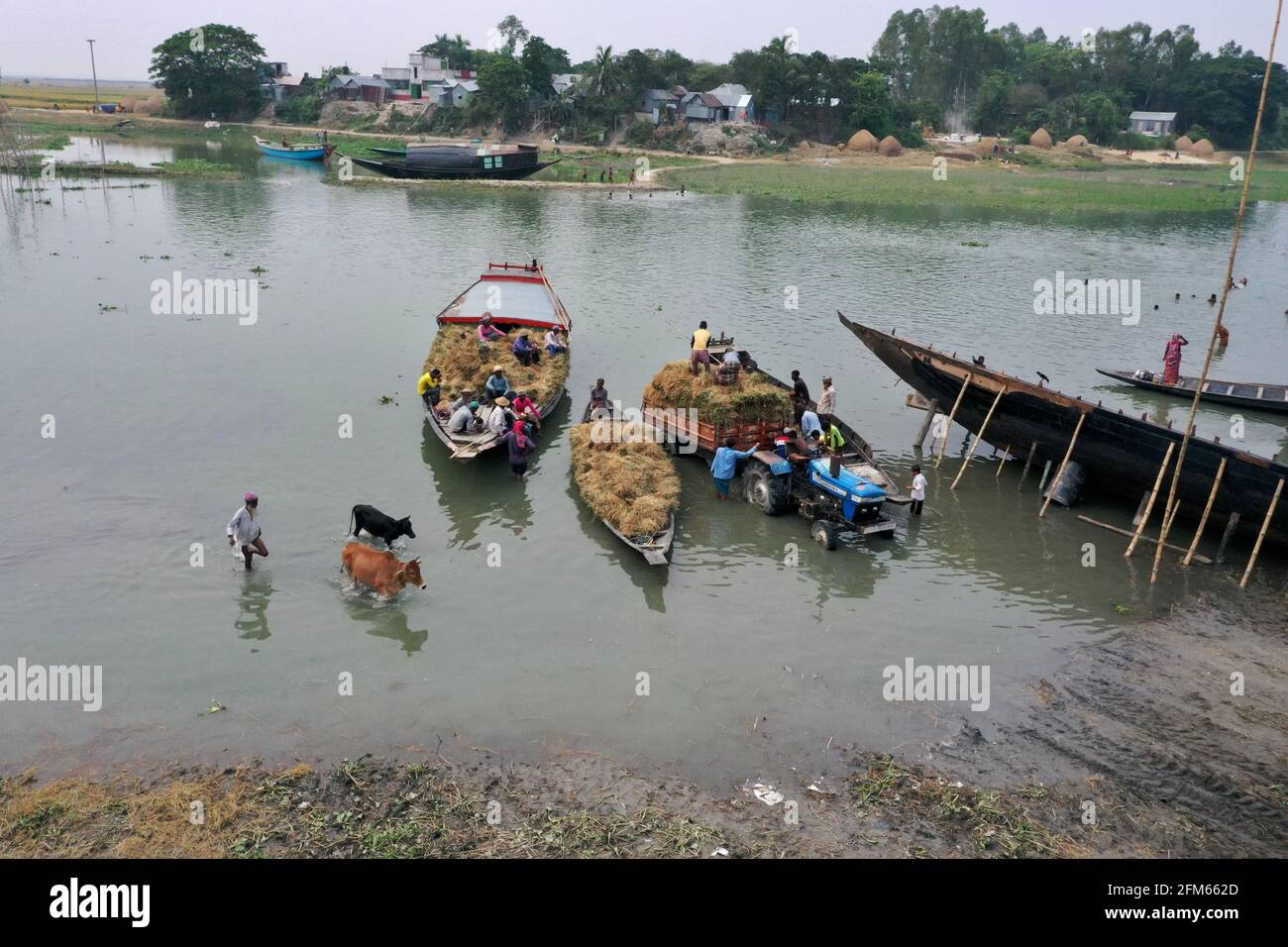 Kishorganj, Bangladesh - 01 mai 2021 : les agriculteurs ont coupé du paddy de Nikli Haor à Kishorganj et l'ont apporté par bateau. Plus tard, le paddy est pris à la maison Banque D'Images