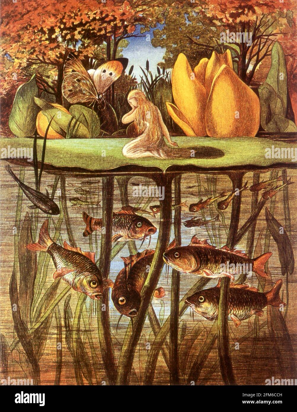 Eleanor Vere Boyle art - Tommelise très désolate sur la feuille de nénuphars avec des poissons en dessous et juste un papillon de pointe orange pour la compagnie. Banque D'Images