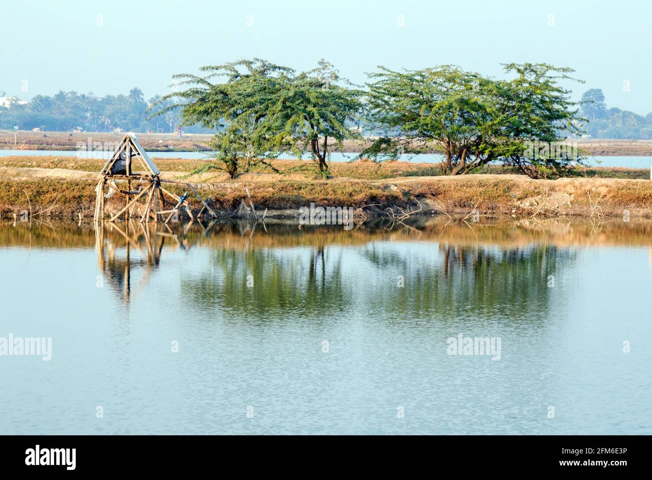 paysage rural au nord 24 pargana ouest du bengale inde Banque D'Images