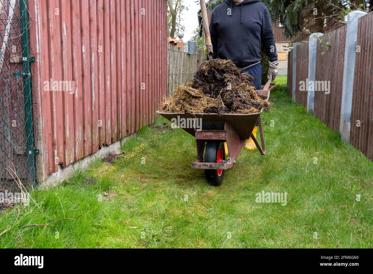 Homme poussant la brouette pleine de fumier et de fourche dans le jardin Banque D'Images