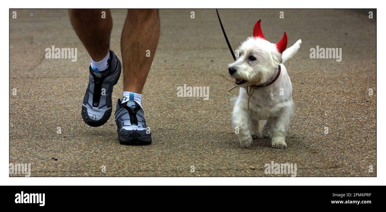 Un chien avec les cornes du diable sur UN participant L'œuvre caritative Walk for Life AIDS autour de Londres Banque D'Images