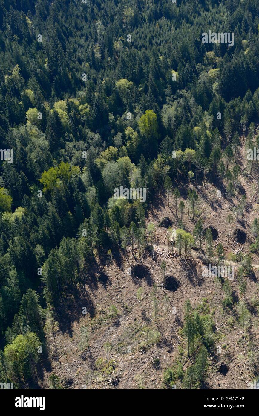 Photo aérienne, île de Vancouver (Colombie-Britannique) Banque D'Images