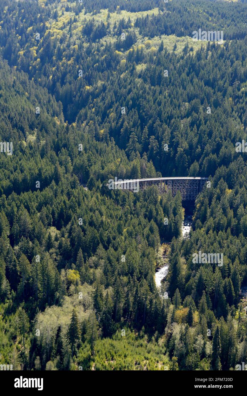 Kinsol Trestle Aerial, île de Vancouver (Colombie-Britannique) Banque D'Images