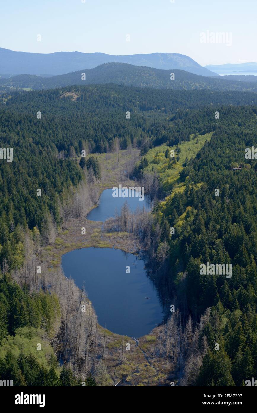 Photo aérienne, île de Vancouver (Colombie-Britannique) Banque D'Images