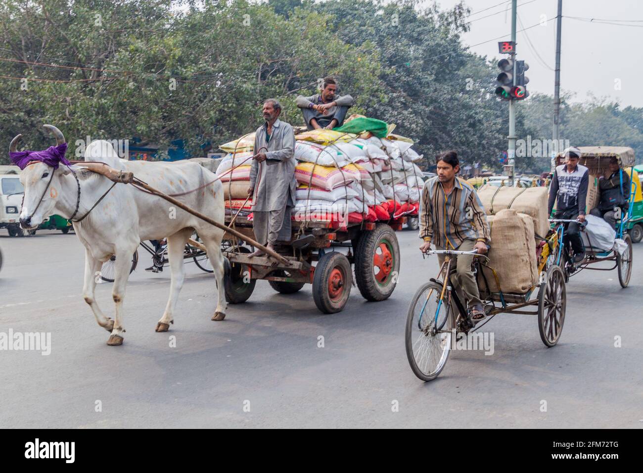 DELHI, INDE - 24 JANVIER 2017 : cyclo rickshaws et un chariot de zébu dans une rue de Delhi. Banque D'Images