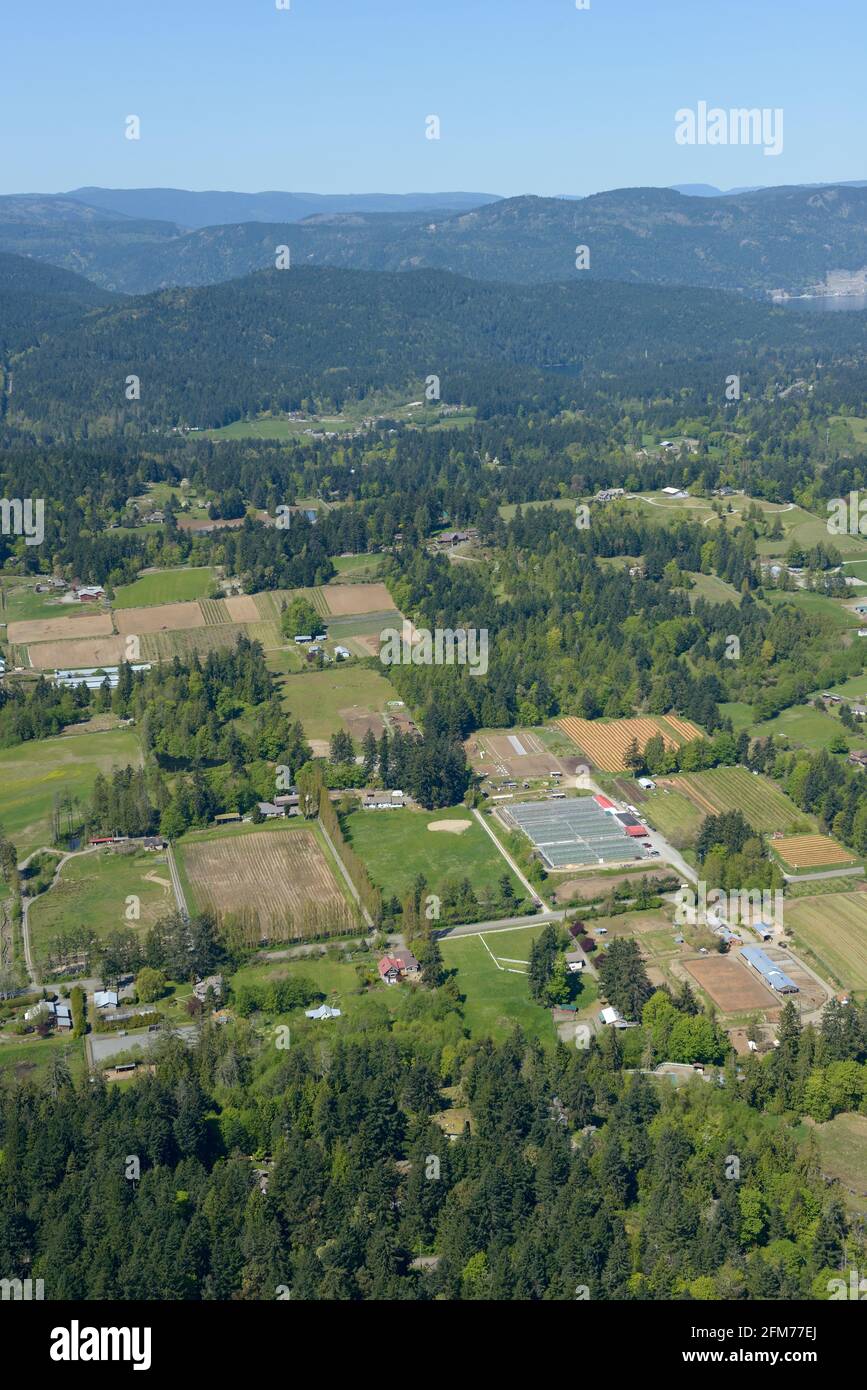 Photo aérienne des fermes de Saanich, île de Vancouver, Colombie-Britannique Banque D'Images