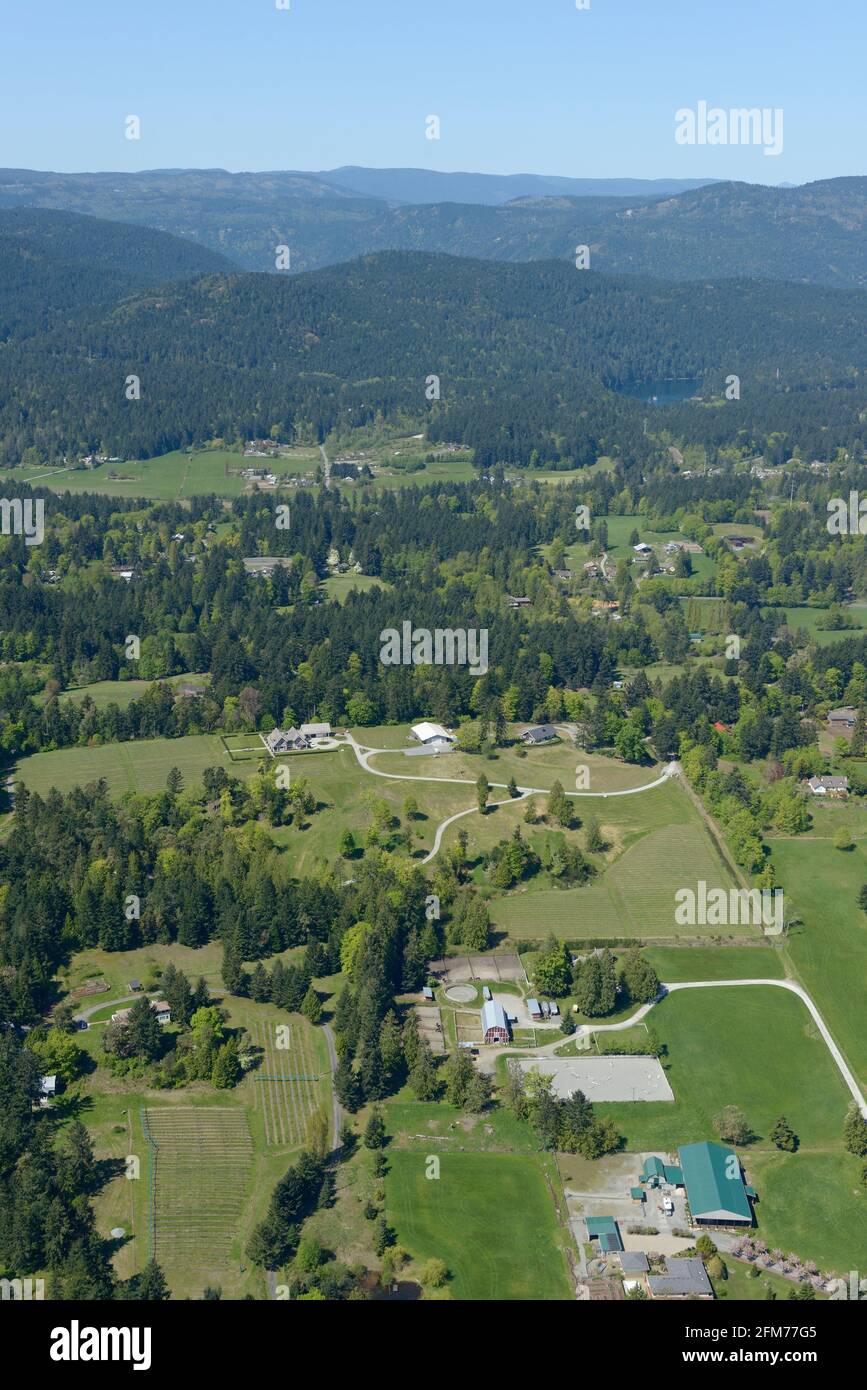 Photo aérienne des fermes de Saanich, île de Vancouver, Colombie-Britannique Banque D'Images