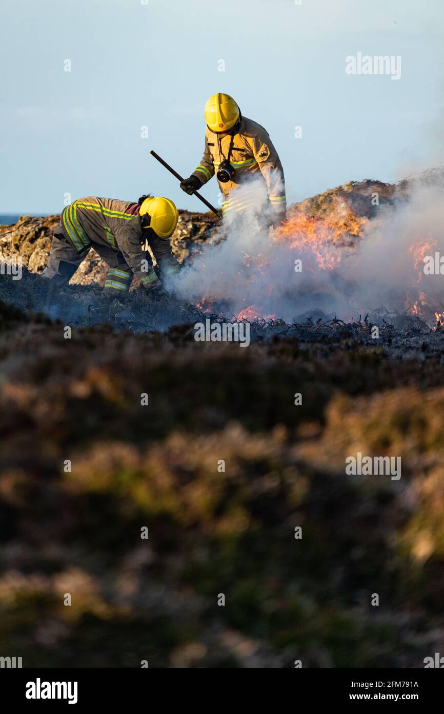 Les pompiers s'attaquent au feu de Gorse sur l'île d'Anglesey. Banque D'Images