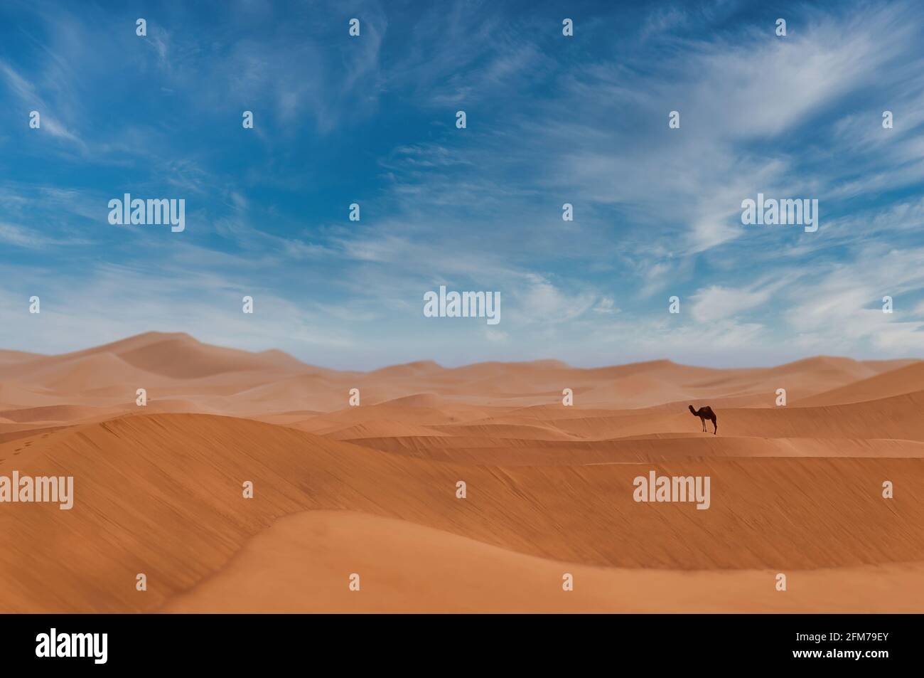 Le plus grand désert de sable 'Erg Chegaga' au Maroc Banque D'Images