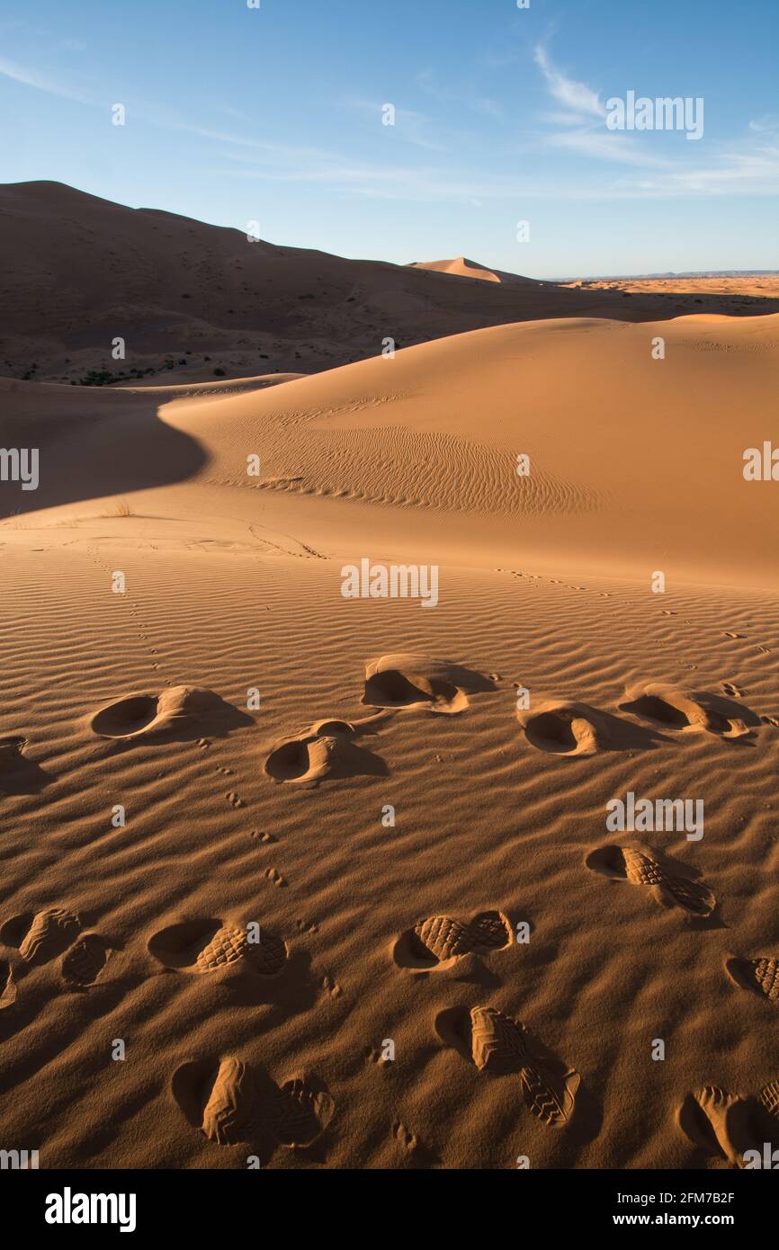 Désert du Sahara, Maroc Banque D'Images