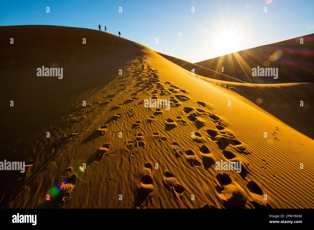 Désert du Sahara, Maroc Banque D'Images