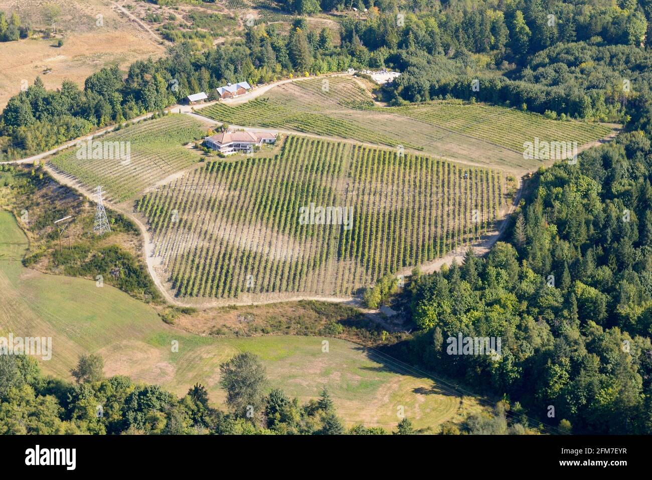 Vigneti Zanatta Winery and Vineyard, Cowichan Valley Aerial photos, île de Vancouver, Colombie-Britannique, Canada. Banque D'Images
