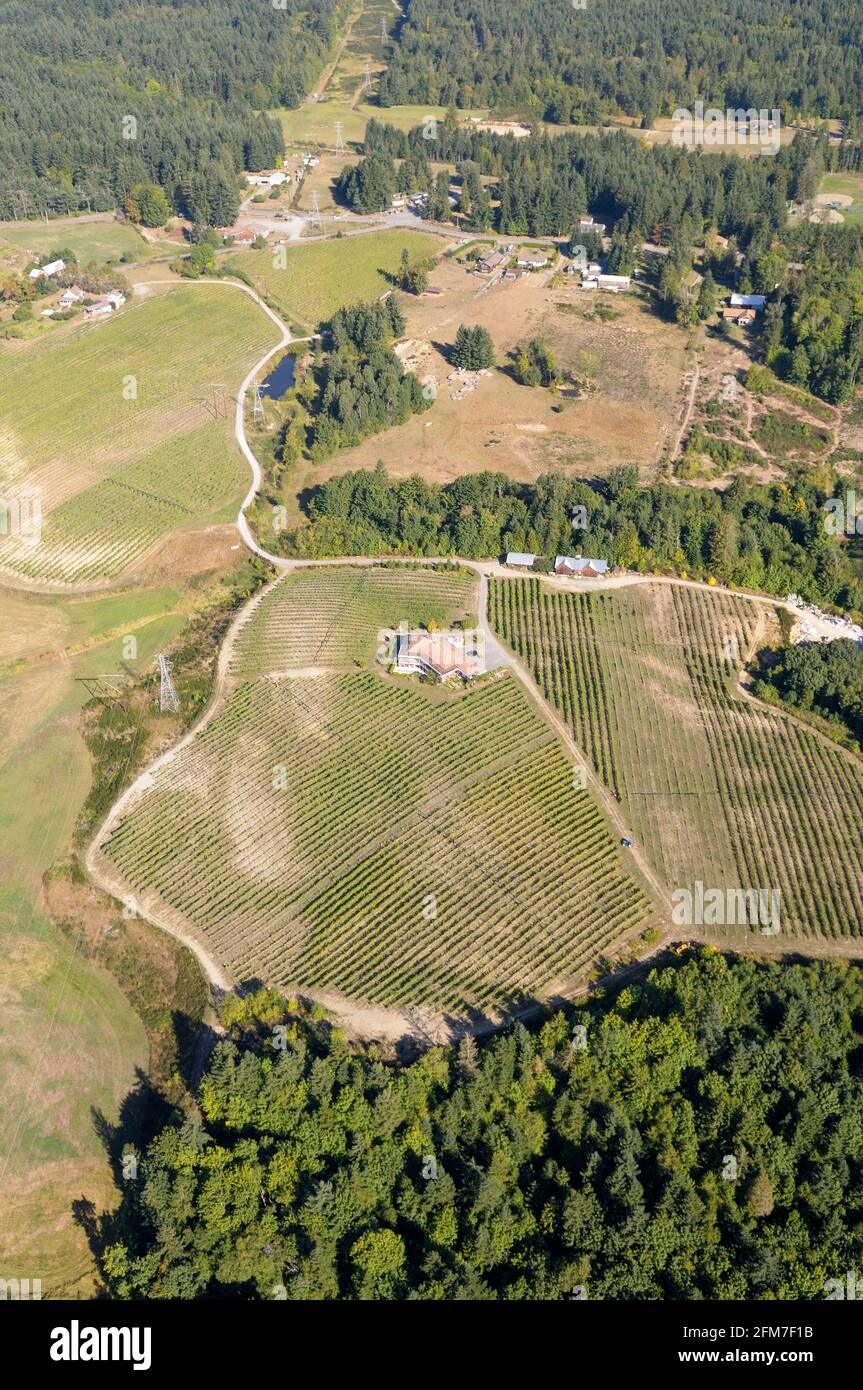 Vigneti Zanatta Winery and Vineyard, Cowichan Valley Aerial photos, île de Vancouver, Colombie-Britannique, Canada. Banque D'Images
