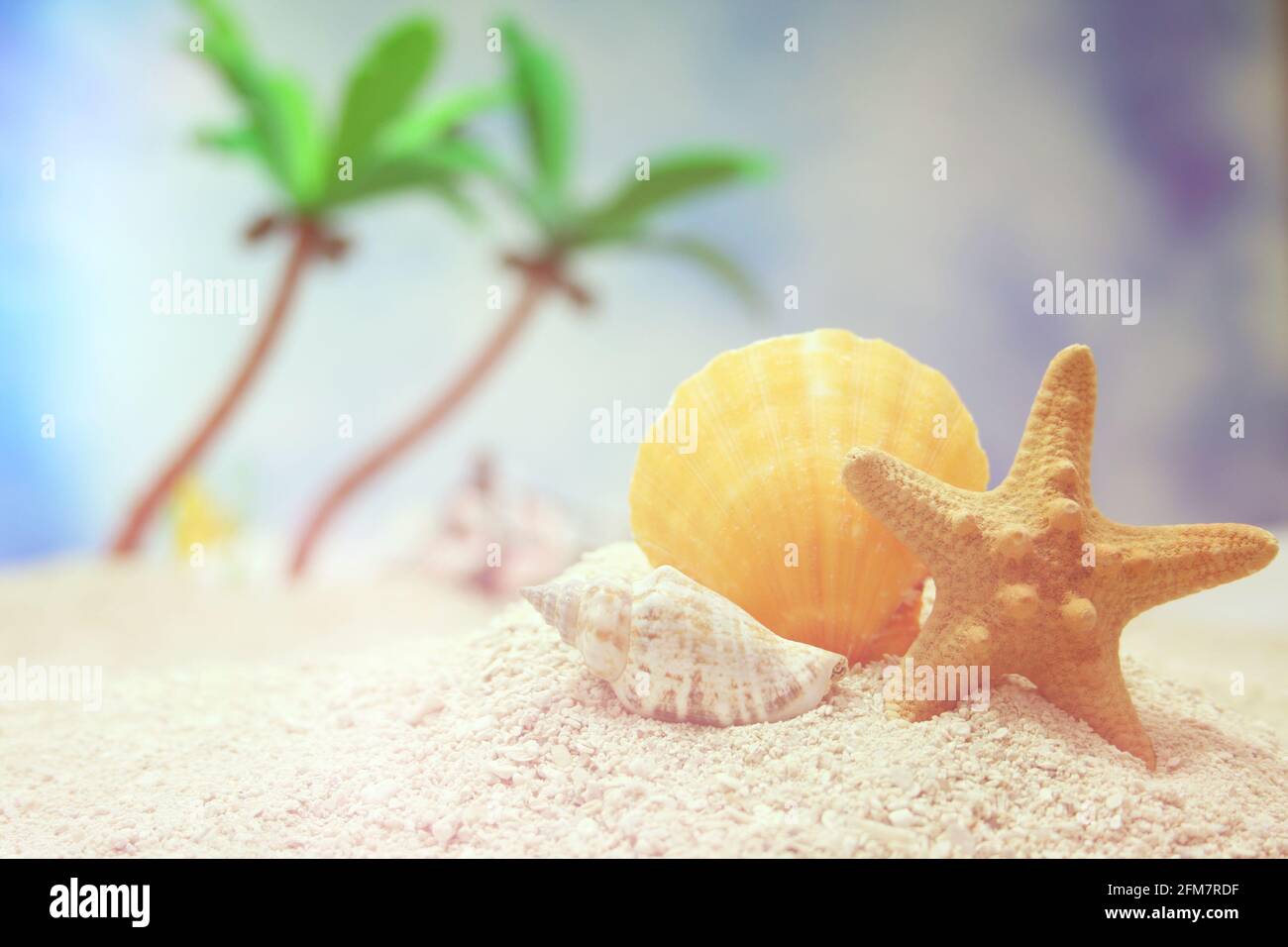 Seashell sur la plage tropicale avec des palmiers en arrière-plan Banque D'Images