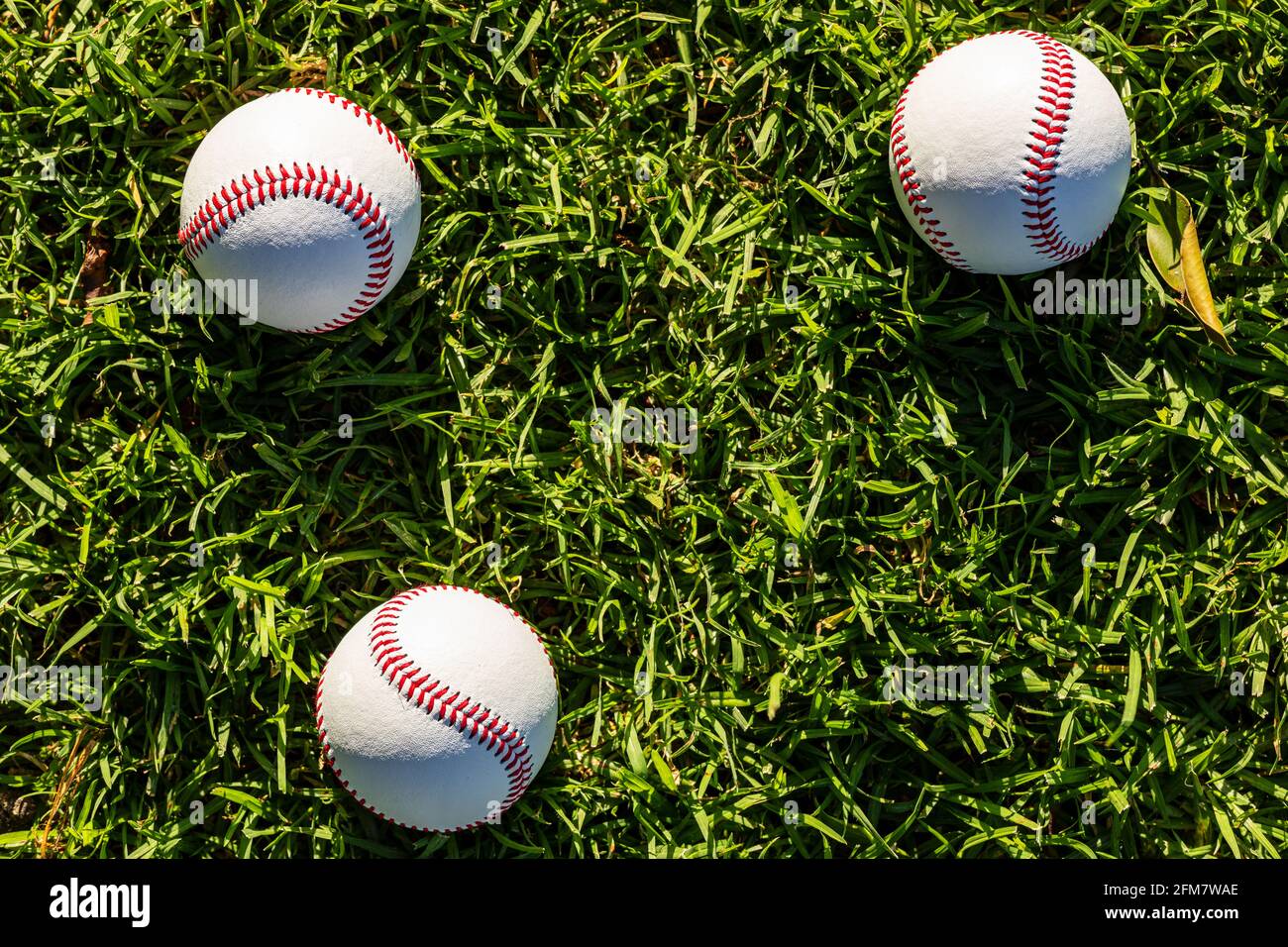 3 balles de base de régulation classiques reposant sur l'herbe avec de la place pour copie Banque D'Images