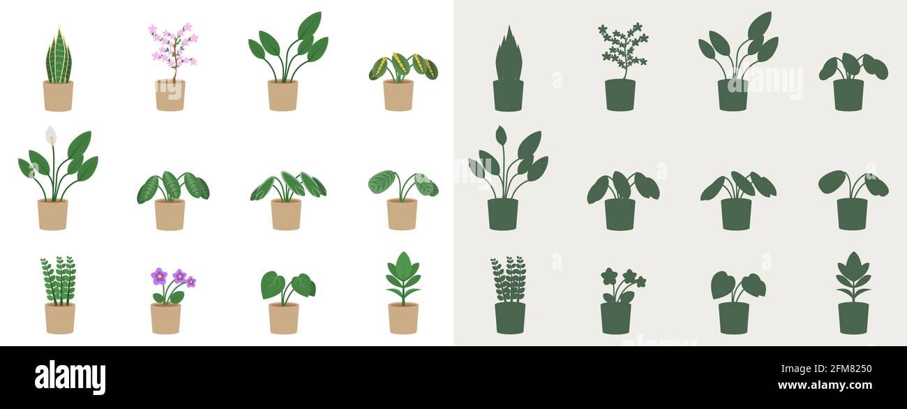 Ensemble de plantes d'intérieur dans un style plat et silhouettes. Illustration vectorielle de fleurs en pots. Illustration de Vecteur