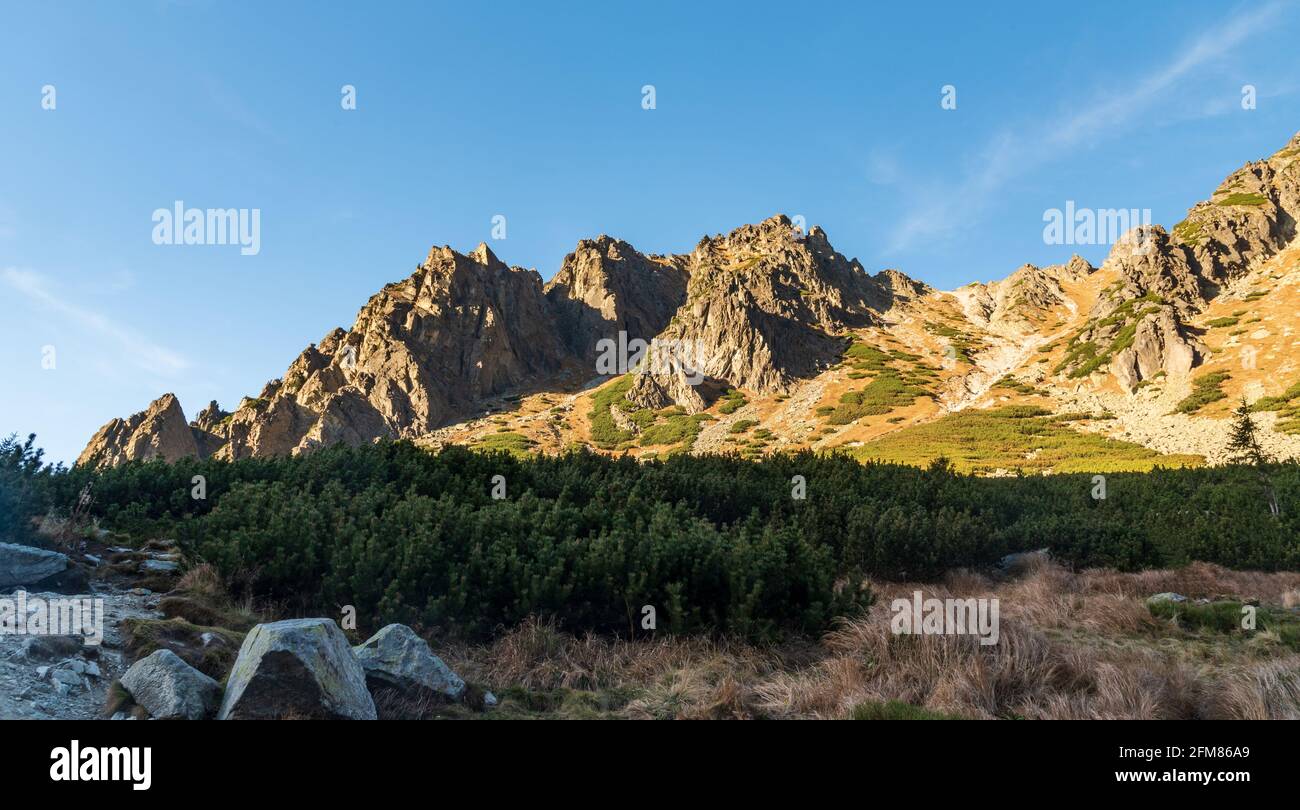 Un automne étonnant Vysoke Tatry mountais du sentier de randonnée près de la cascade de Skok sur la vallée de Mlynicka dolina en Slovaquie avec quelques pics, pierres, pinus mugo sh Banque D'Images