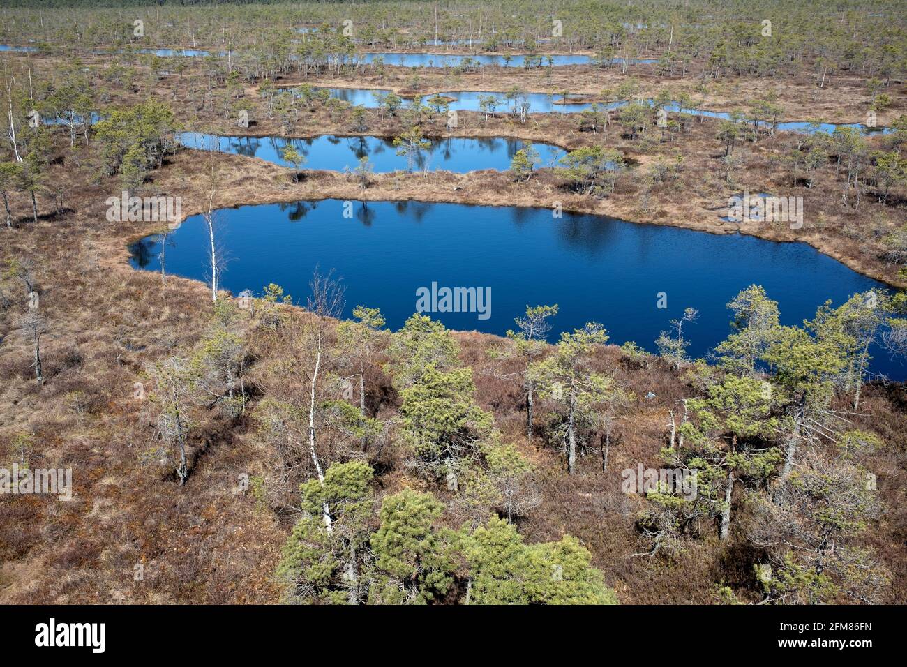 Vue areale du grand Ķemeri élevé Bog à Kemeru Parc national Lettonie Banque D'Images