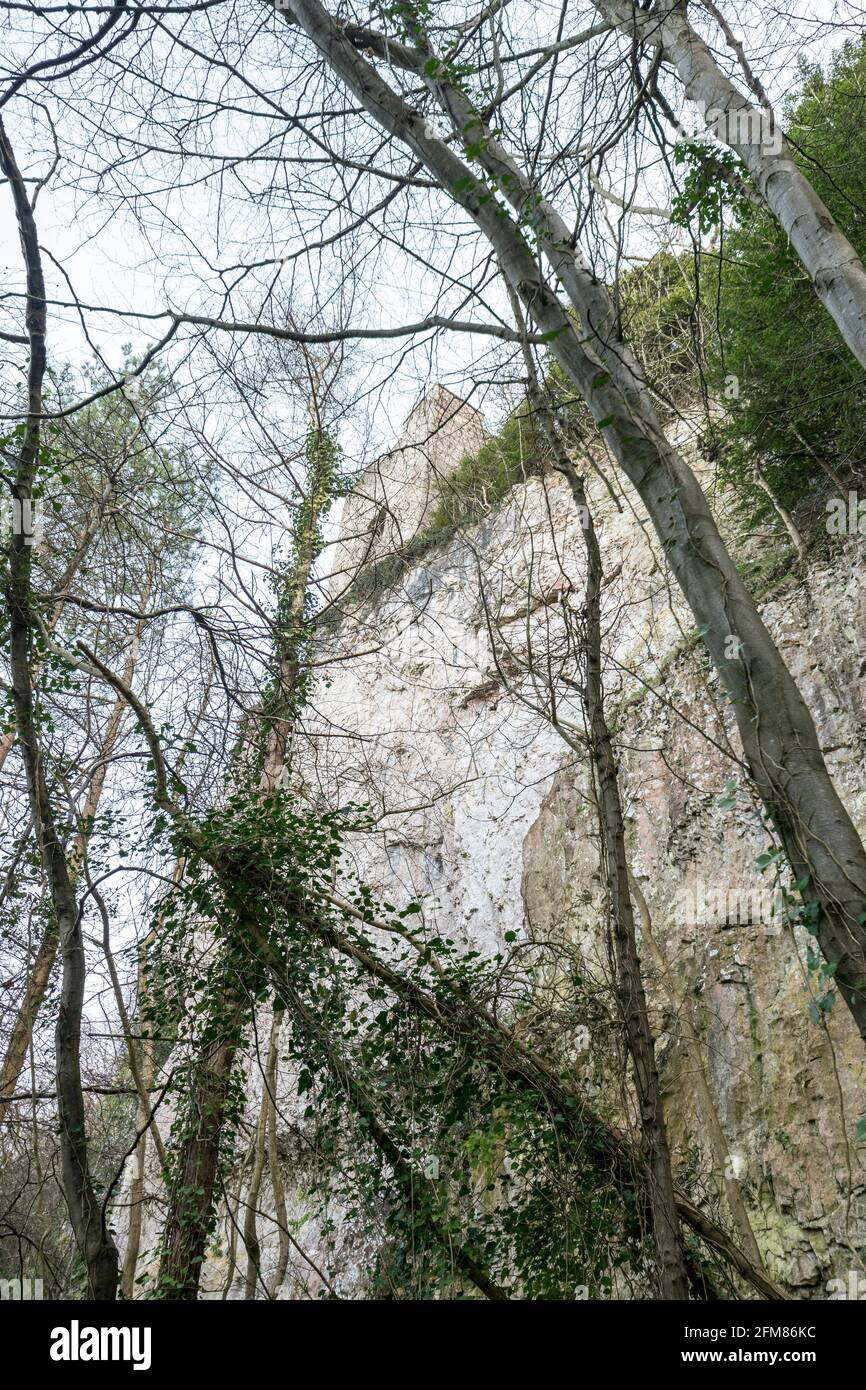 La tour du pavillon de chasse de Lady Emily Hesketh est en ruine près d'Abergele sur la côte nord du pays de Galles au royaume-uni, dans les bois du château de Gwrych. Banque D'Images