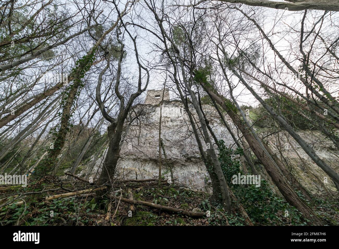 La tour du pavillon de chasse de Lady Emily Hesketh est en ruine près d'Abergele sur la côte nord du pays de Galles au royaume-uni, dans les bois du château de Gwrych. Banque D'Images