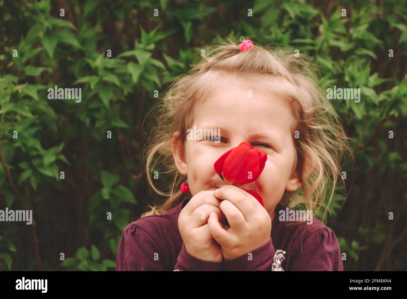 Portrait d'un enfant dans la nature. Copier l'espace. Belle blonde fille de 4 ans. Le vert laisse l'arrière-plan. Le bébé tient une tulipe rouge dans ses mains. Banque D'Images
