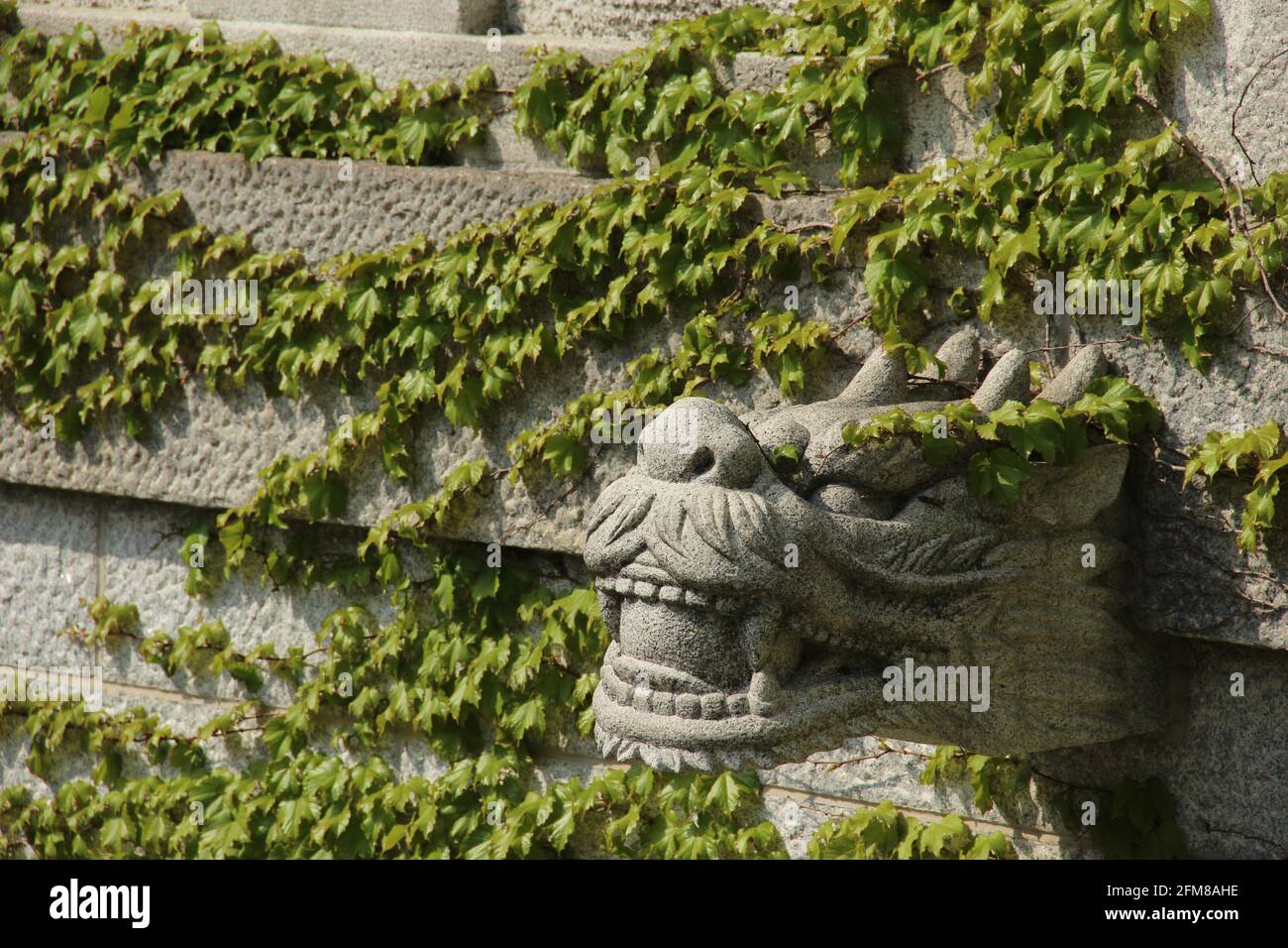 Sculpture à tête de dragon sur le côté du pont Hyeonsugyo Dans le parc national de Seoraksan, en Corée du Sud Banque D'Images