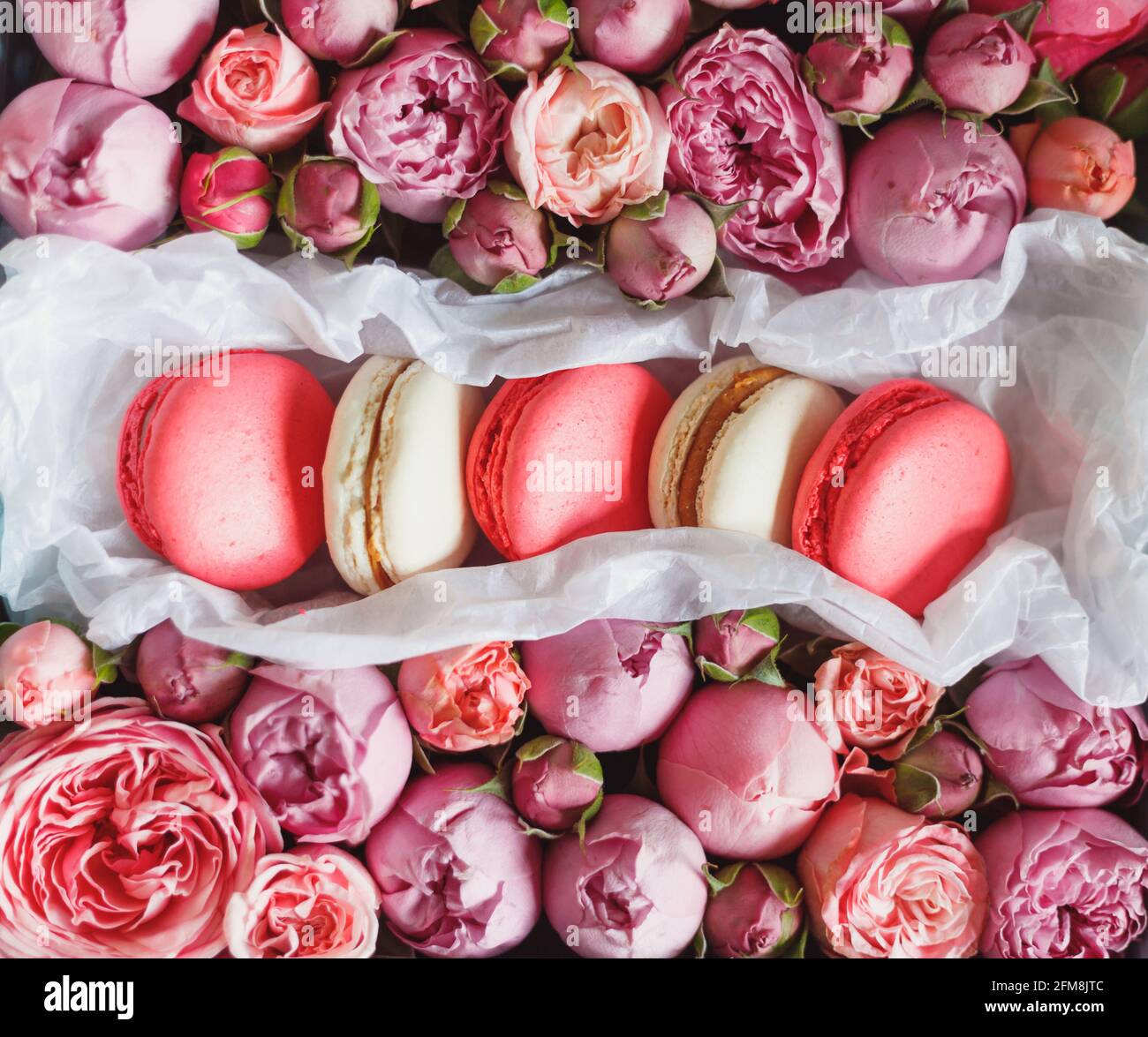 Gâteau au macaron français. Macarons en boîte avec fleurs fraîches. Vue de dessus Banque D'Images