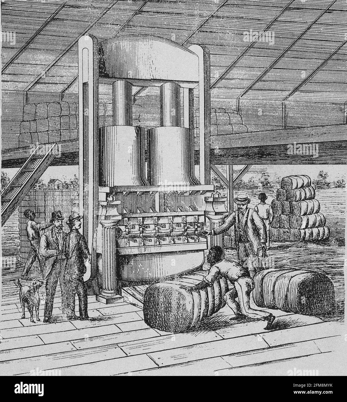 GRABADO-MAQUINA COMPRESORA DE ALGODON-1884-USA-REVOLUCION INDUSTRIAL. Banque D'Images