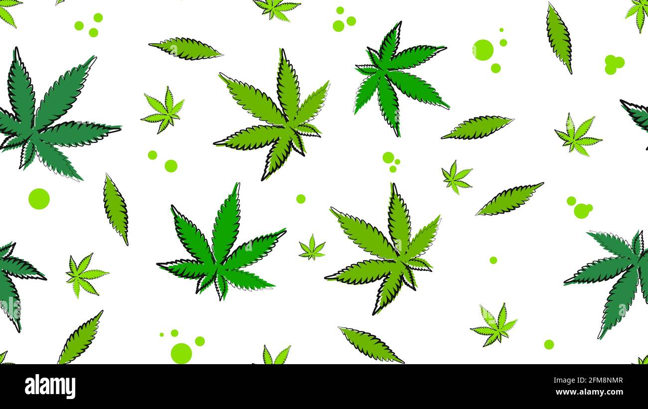 Texture verte et blanche sans couture avec des feuilles de cannabis. Motif éco prêt à être imprimé dans un style de dessin animé Banque D'Images