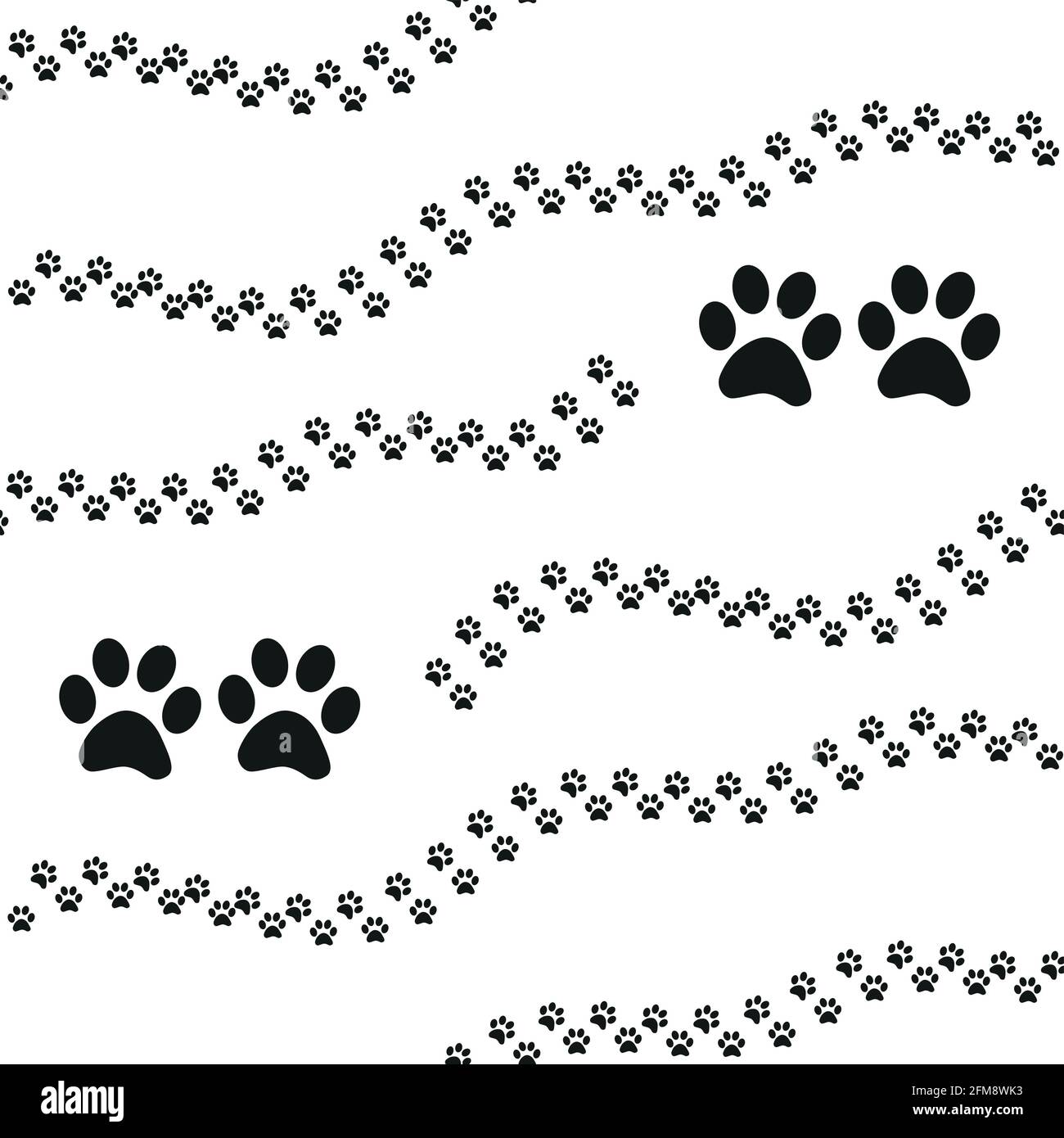 Motif Sans Couture Pour L Empreinte Animale Empreintes D Un Chat D Un Chien D Un Ours D Un Lion D Un Leopard Et D Autres Animaux Image Vectorielle Stock Alamy