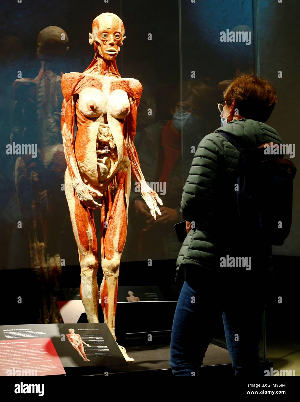 A woman looks at a plastinated body of a pregnant woman during the  exhibition "Body Worlds" by Gunther von Hagen at the Museo Miraflores in  Guatemala City July 6, 2012. This is