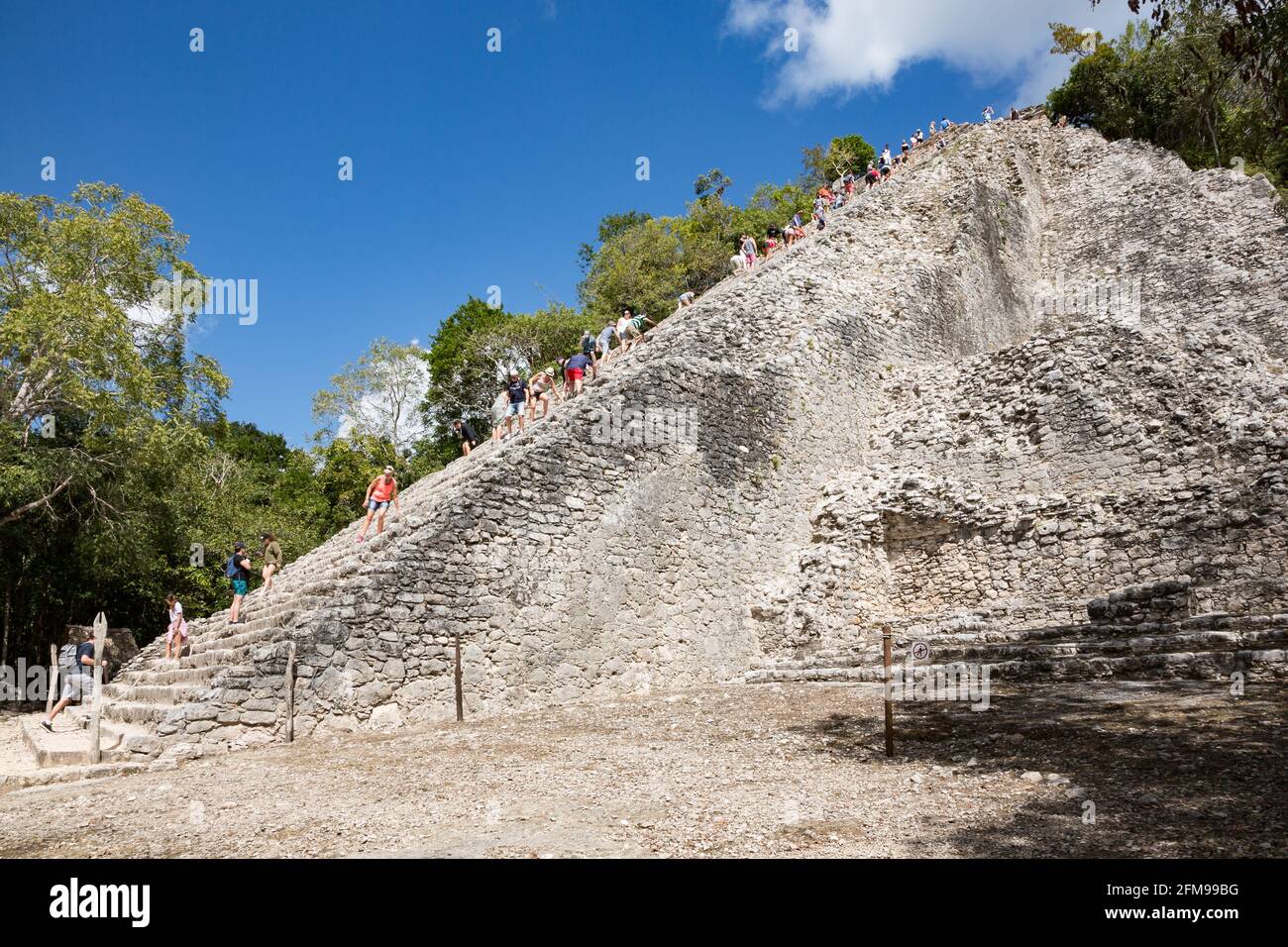 Coba, Mexique - 31 janvier 2018 : Nohoch Mul, la plus haute des pyramides mayas, Quintana Roo, péninsule du Yucatan, Mexique Banque D'Images