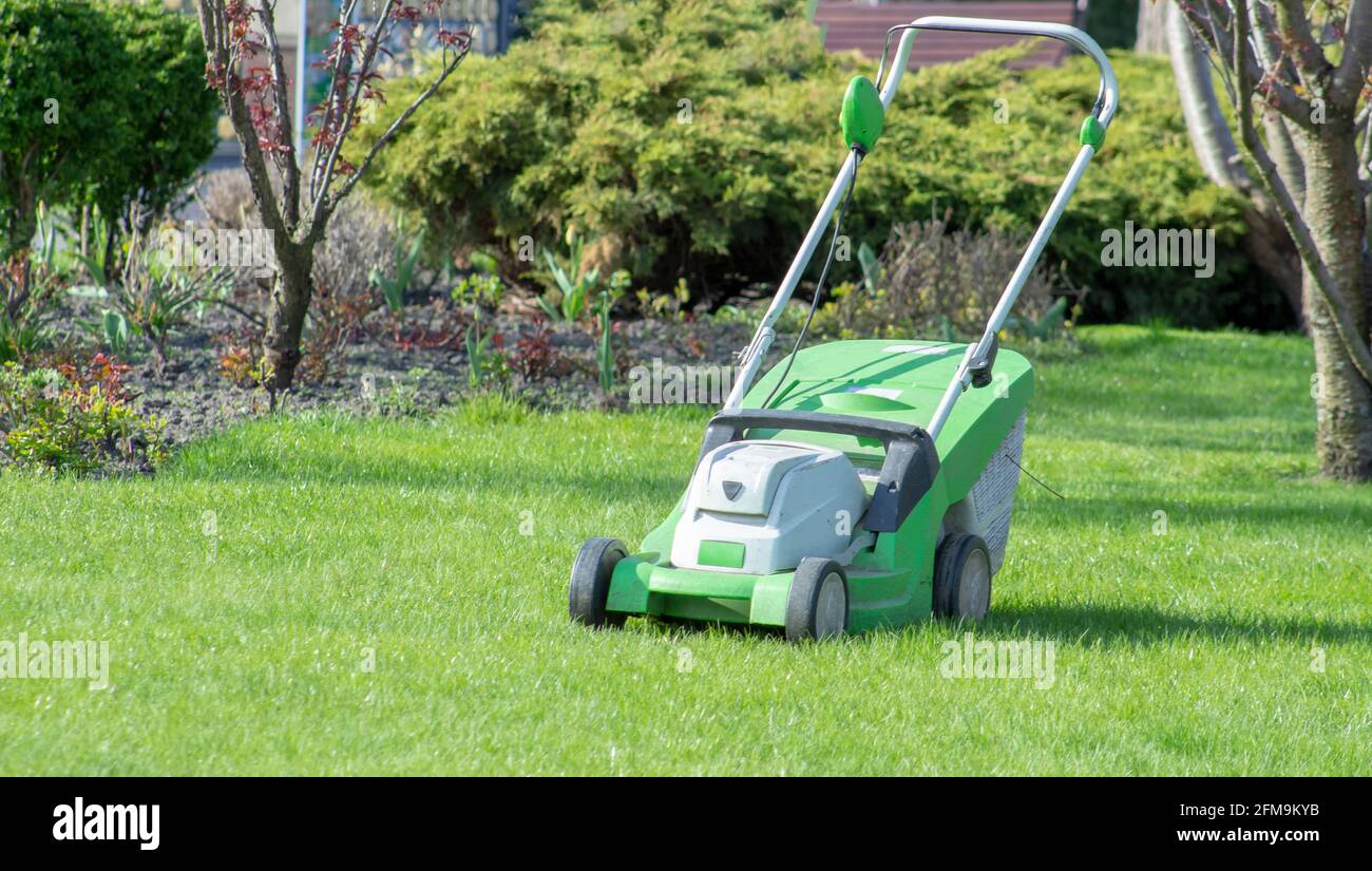 Tondeuse sur une pelouse verte. Tailler l'herbe sur la pelouse dans le jardin. Banque D'Images