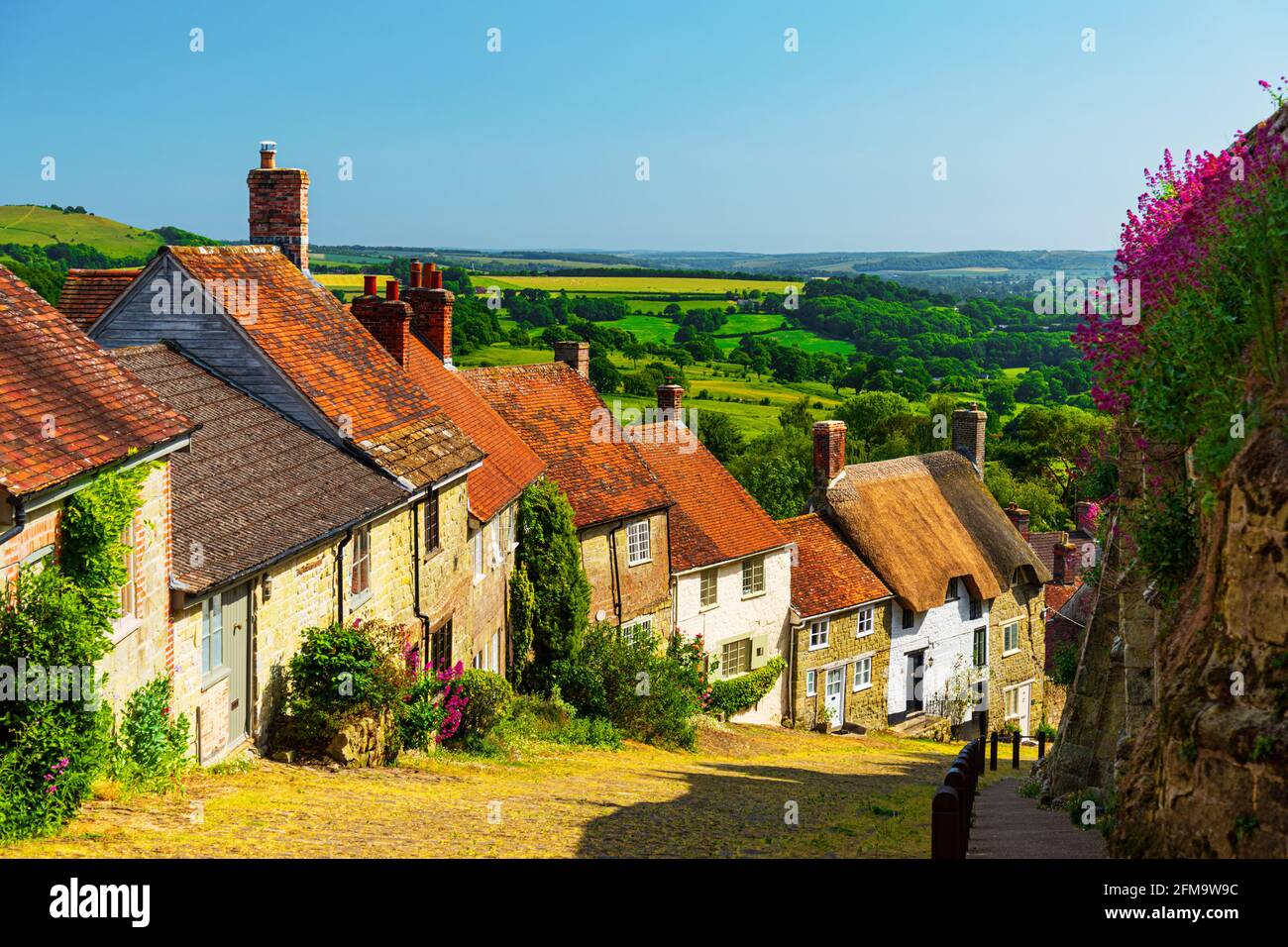 Shaftesbury, Dorset, cottages baignés de soleil sur l'emblématique Gold Hill où Ridley Scott a tiré la célèbre publicité Hovis Banque D'Images