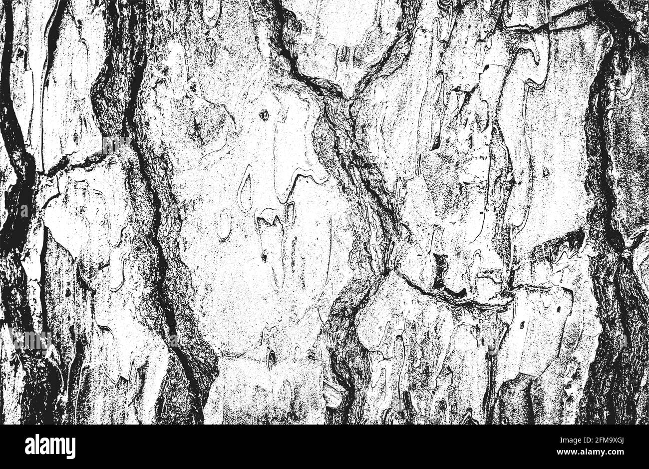 Texture de planche en bois en relief vieilli, fond grunge. Illustration vectorielle demi-teinte abstraite Illustration de Vecteur