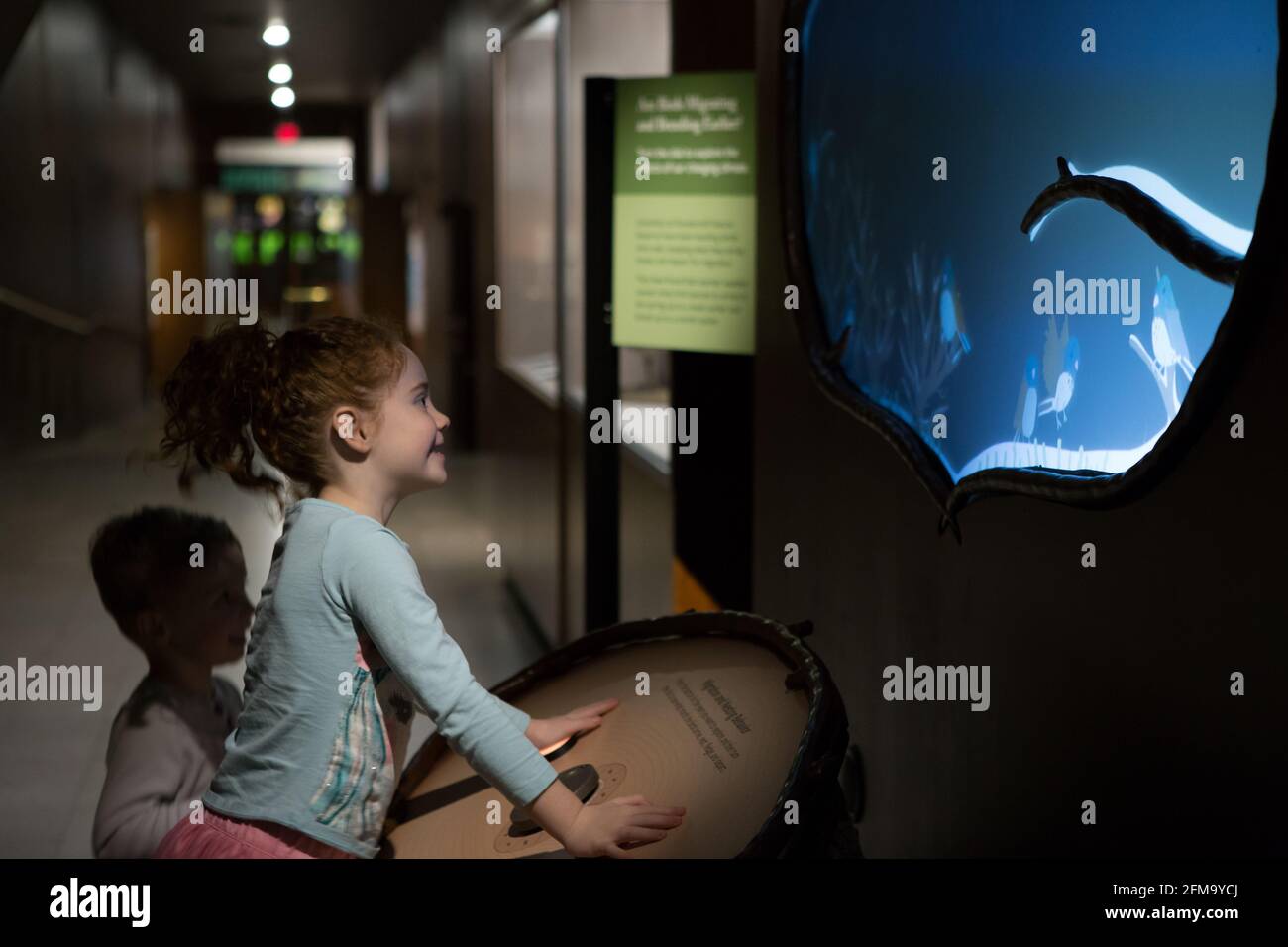 Deux enfants regardent une exposition de musée Banque D'Images